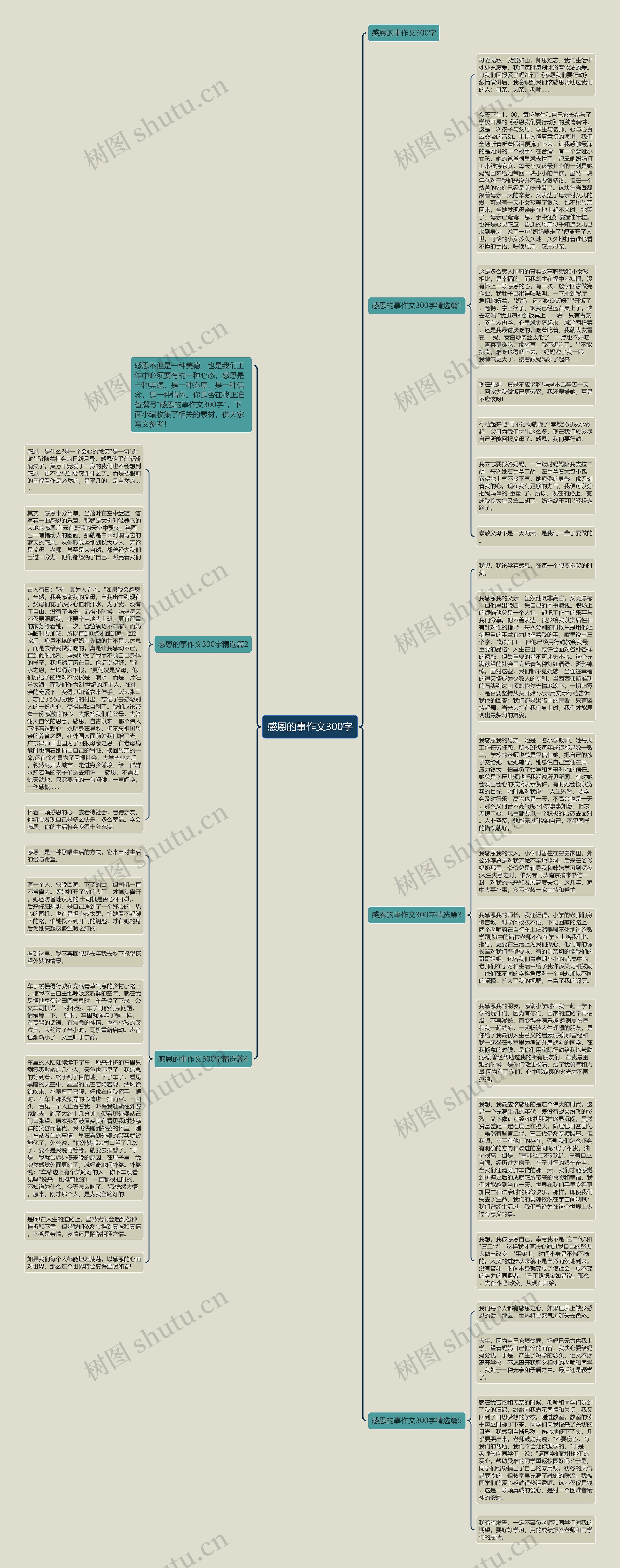 感恩的事作文300字思维导图