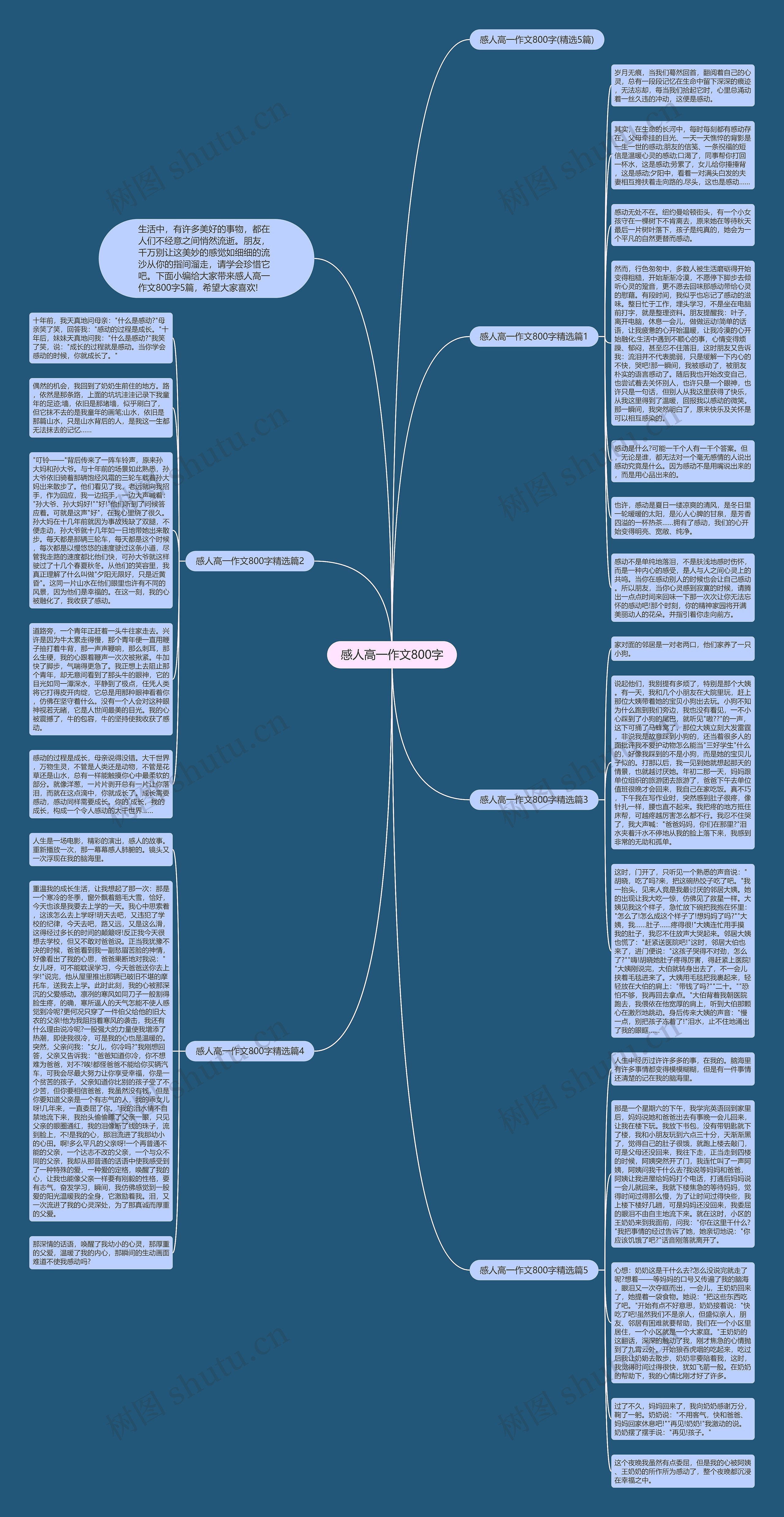 感人高一作文800字思维导图