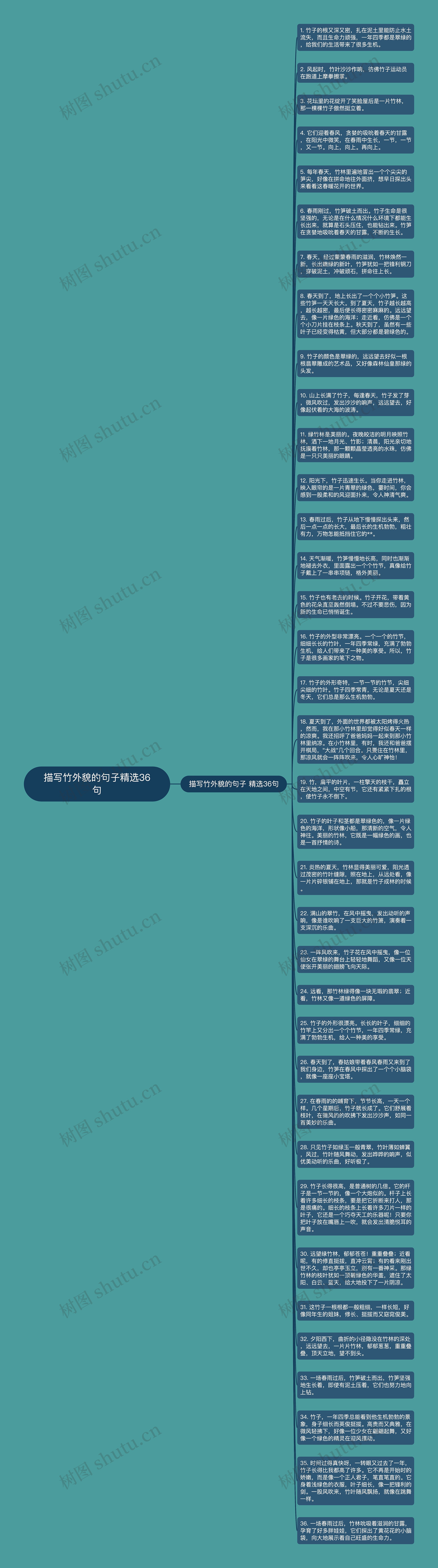 描写竹外貌的句子精选36句