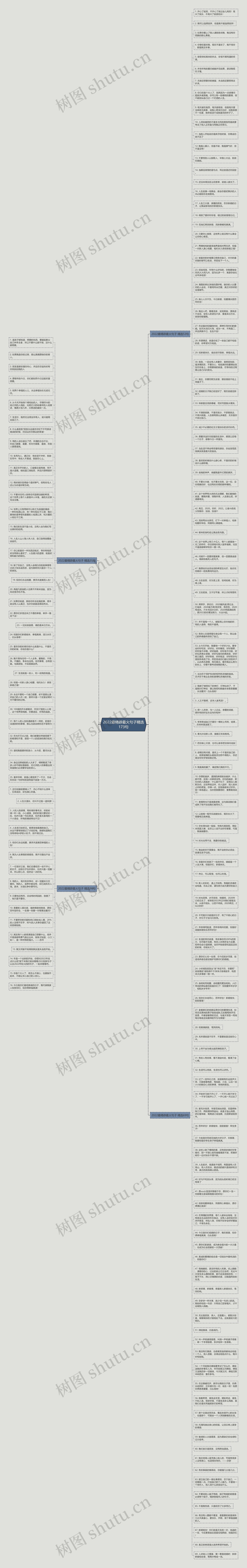 2022最精辟最火句子精选173句思维导图