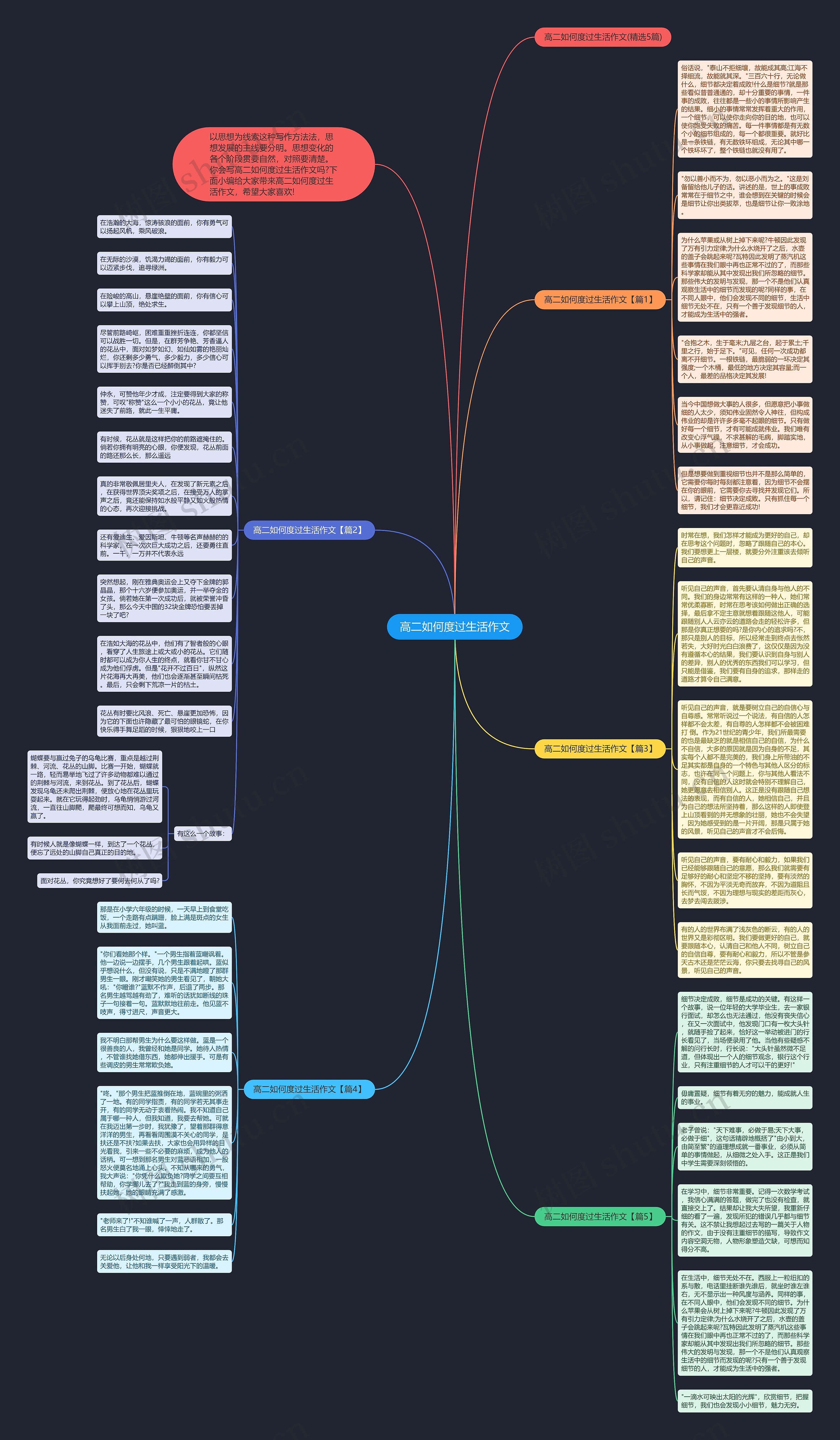 高二如何度过生活作文思维导图