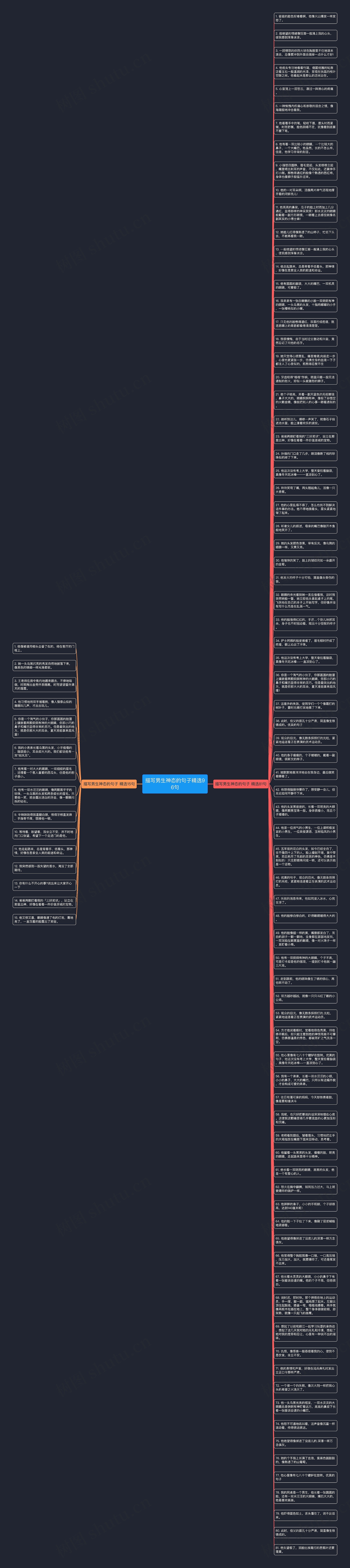 描写男生神态的句子精选96句思维导图