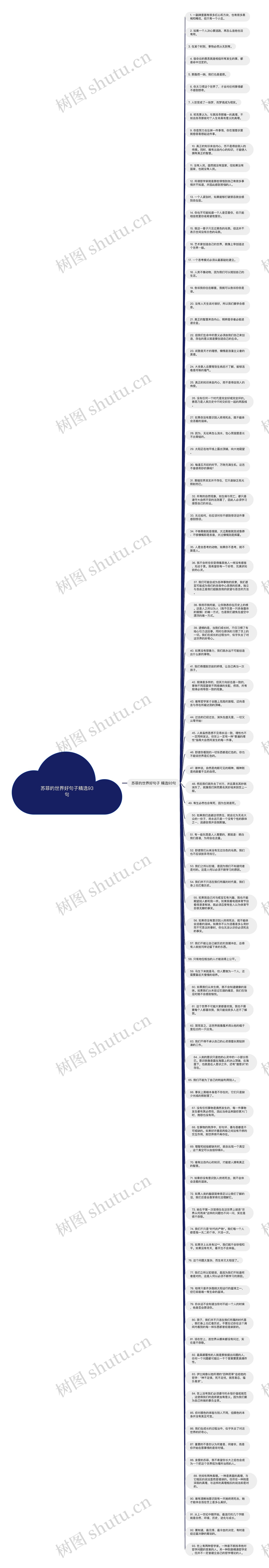 苏菲的世界好句子精选93句思维导图