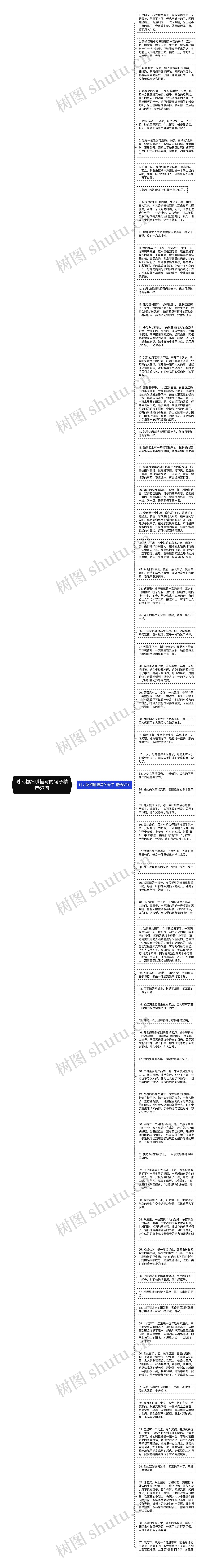 对人物细腻描写的句子精选67句思维导图