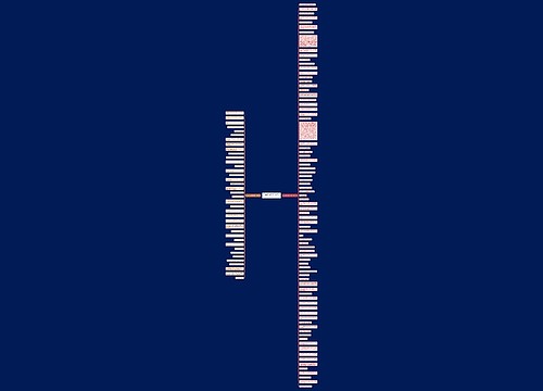 古兰经的经典句子精选120句