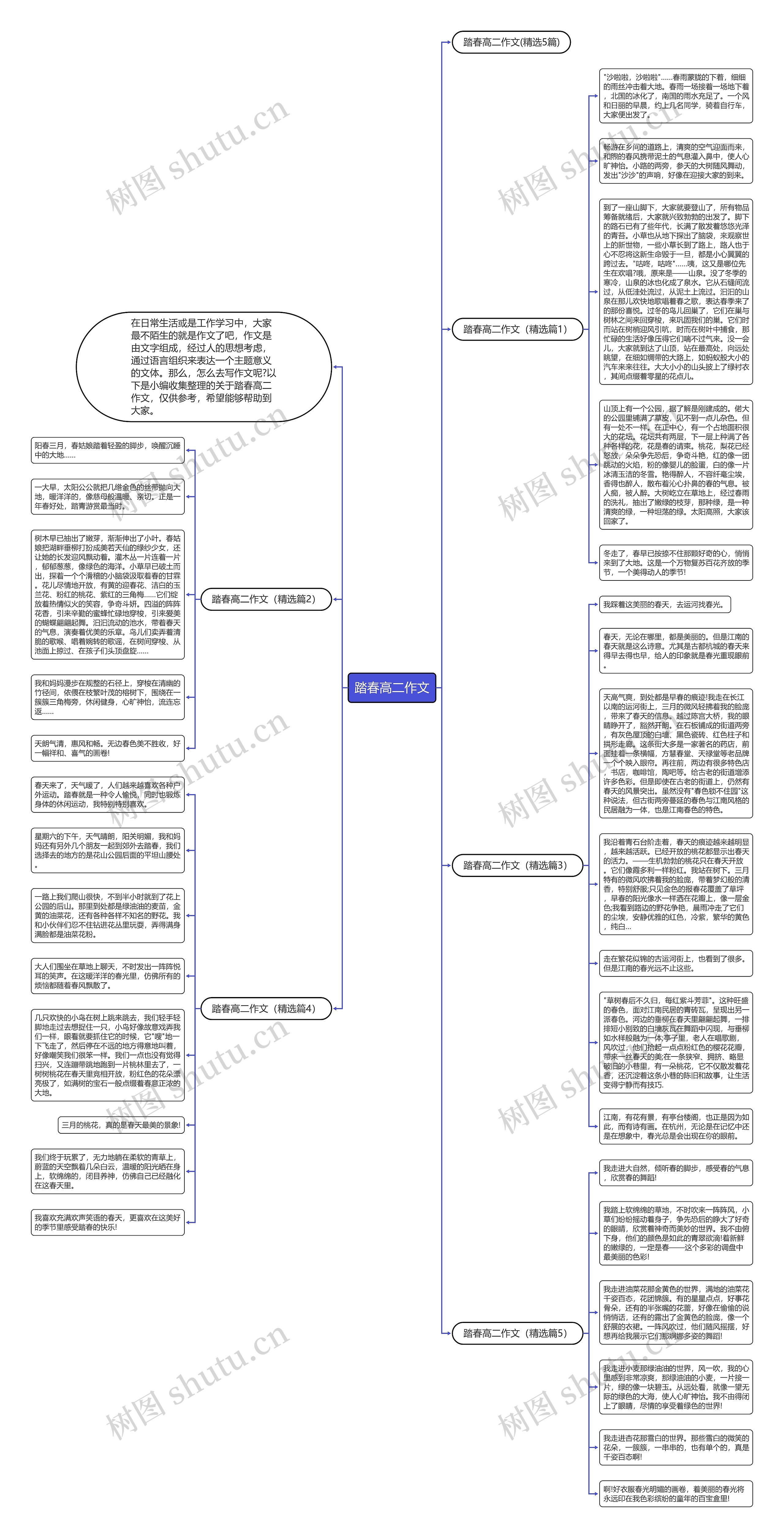 踏春高二作文思维导图