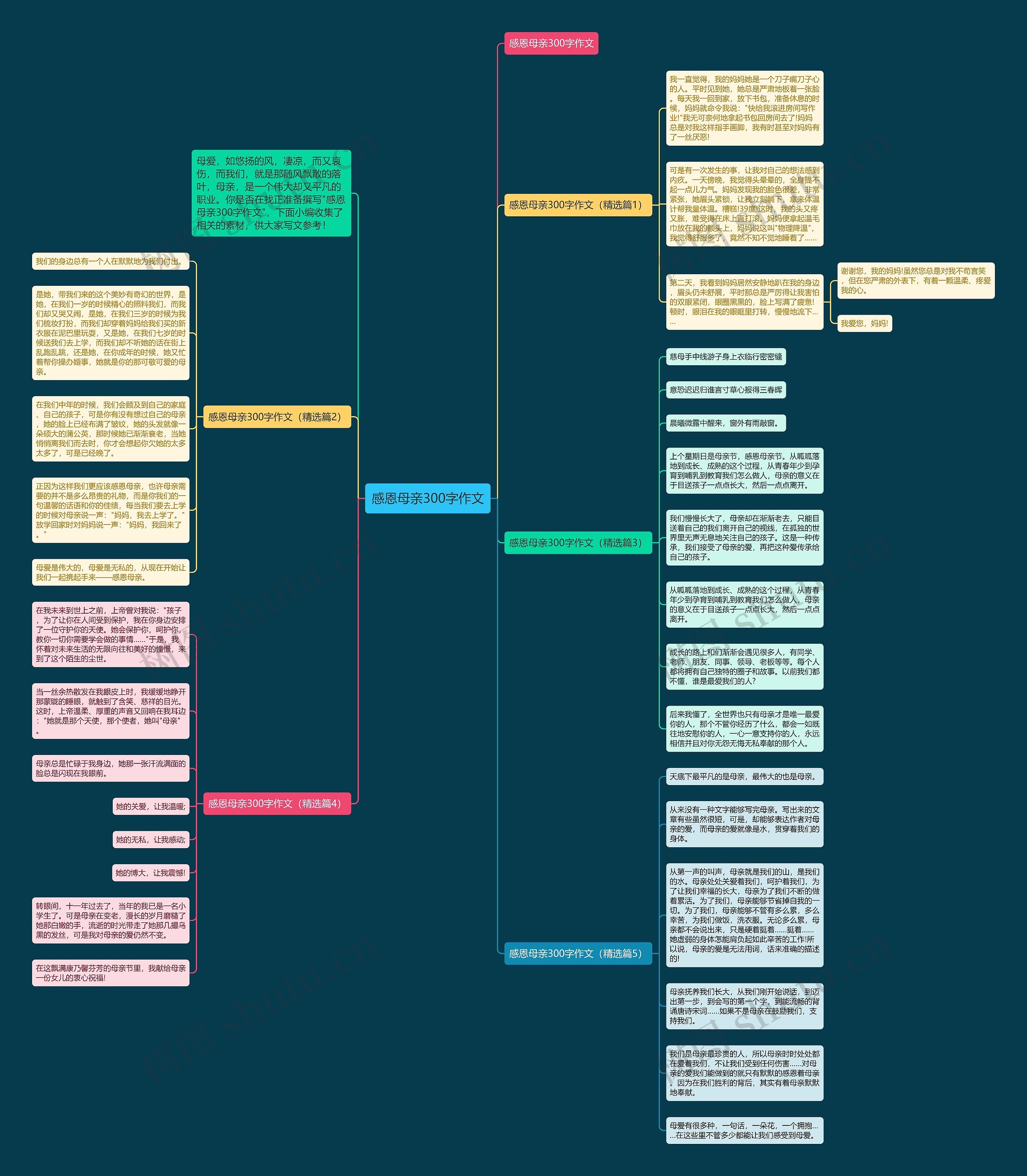 感恩母亲300字作文思维导图