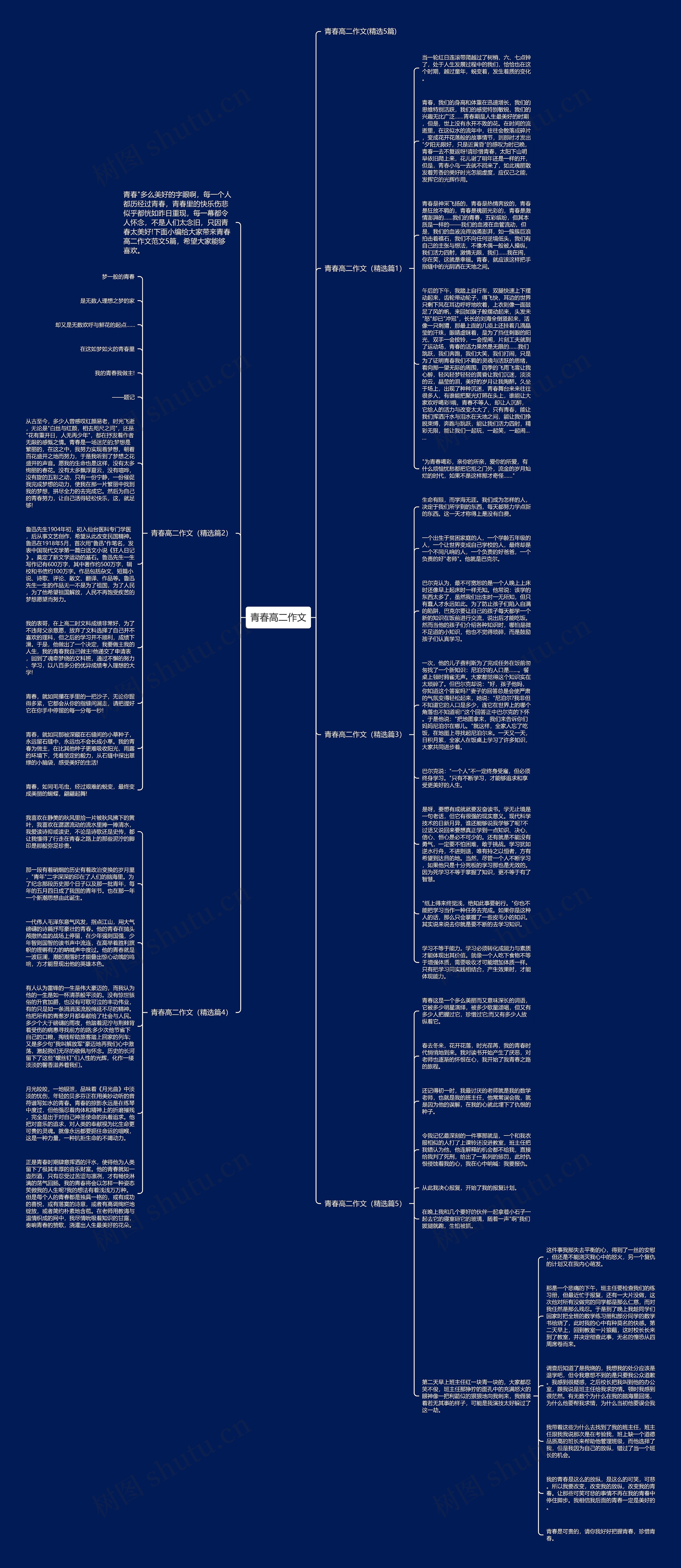 青春高二作文思维导图