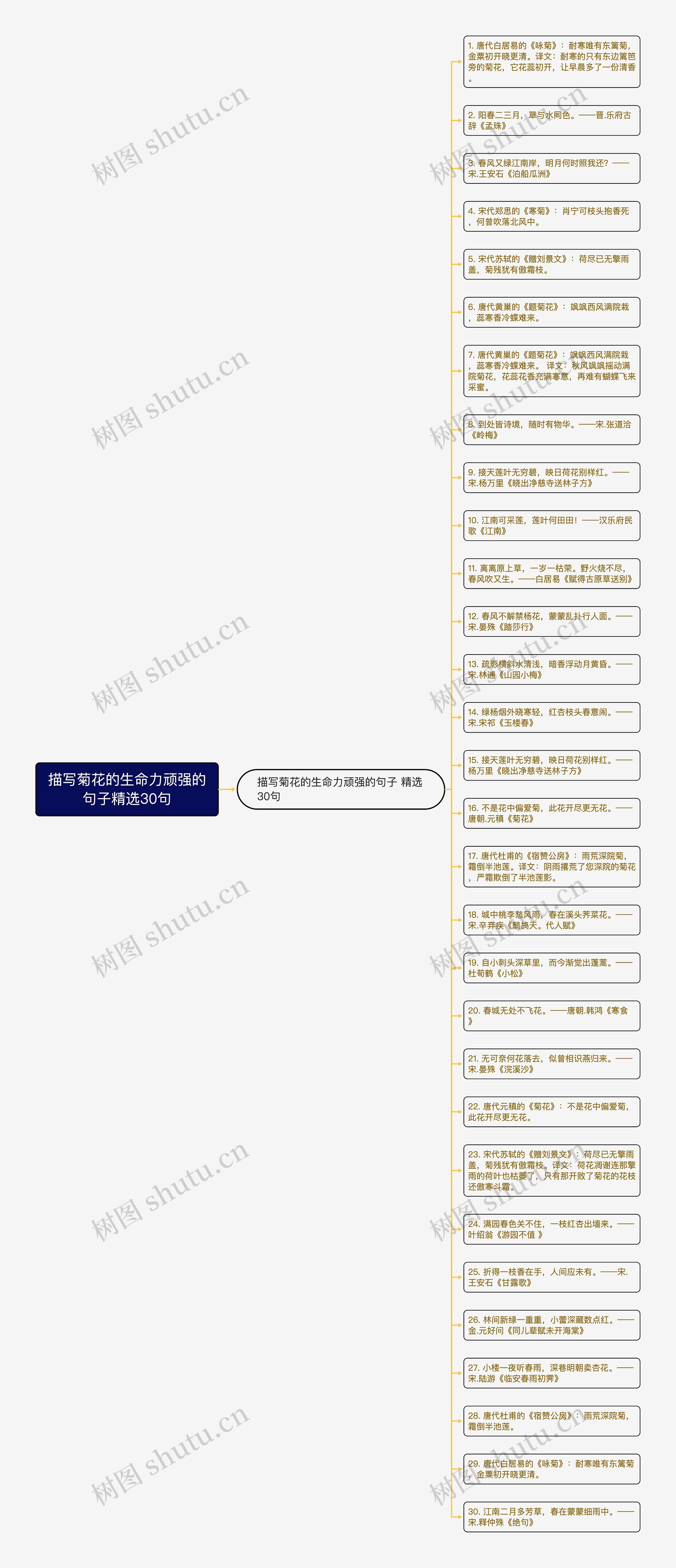 描写菊花的生命力顽强的句子精选30句思维导图