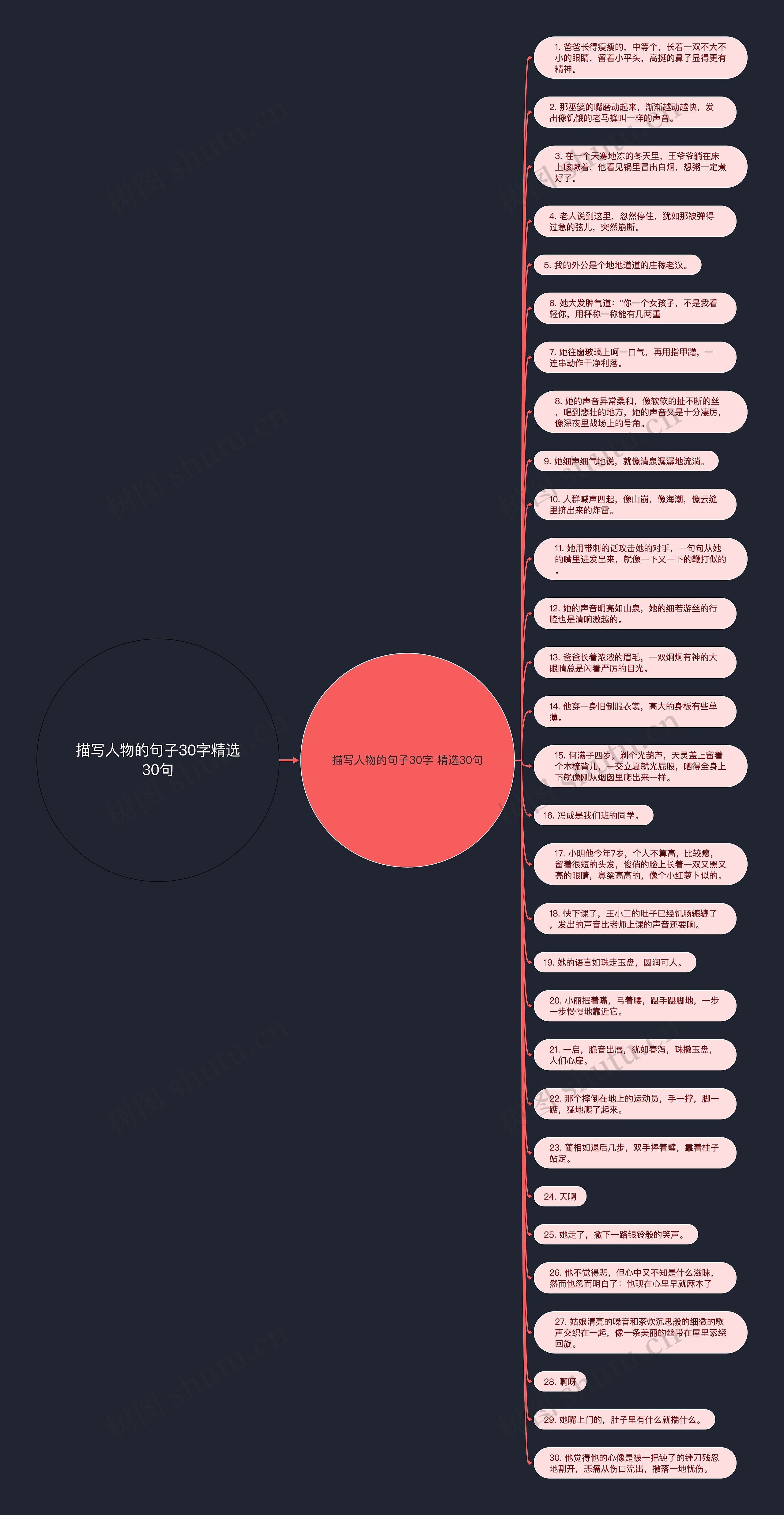 描写人物的句子30字精选30句思维导图