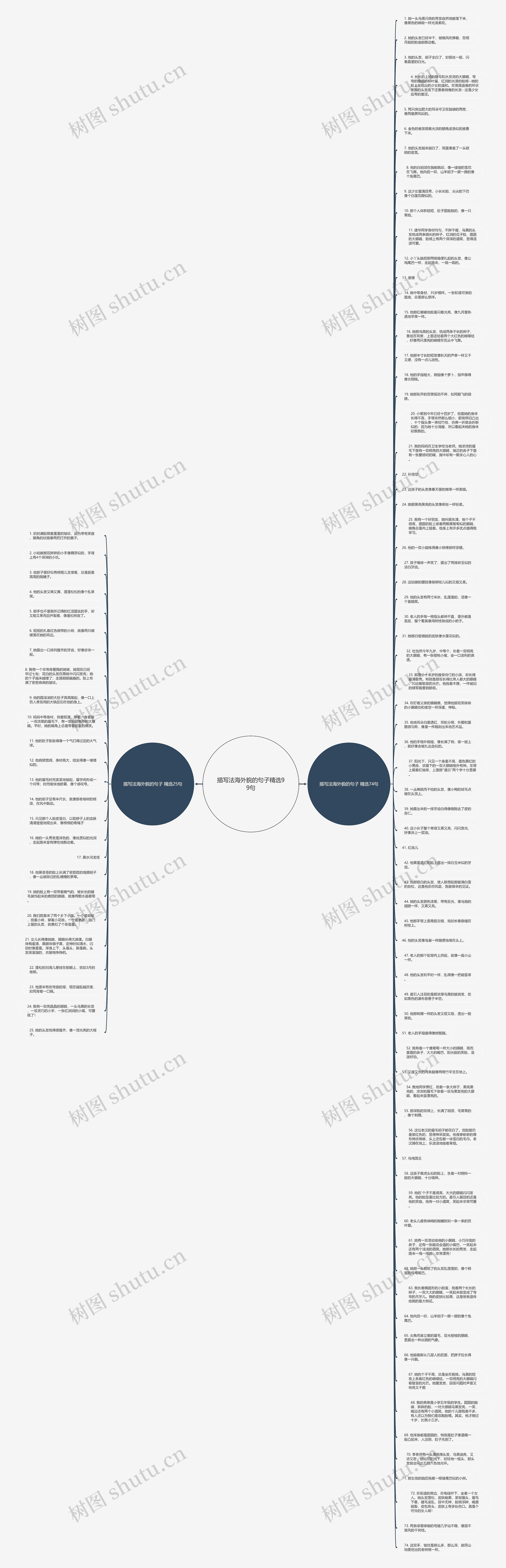 描写法海外貌的句子精选99句思维导图