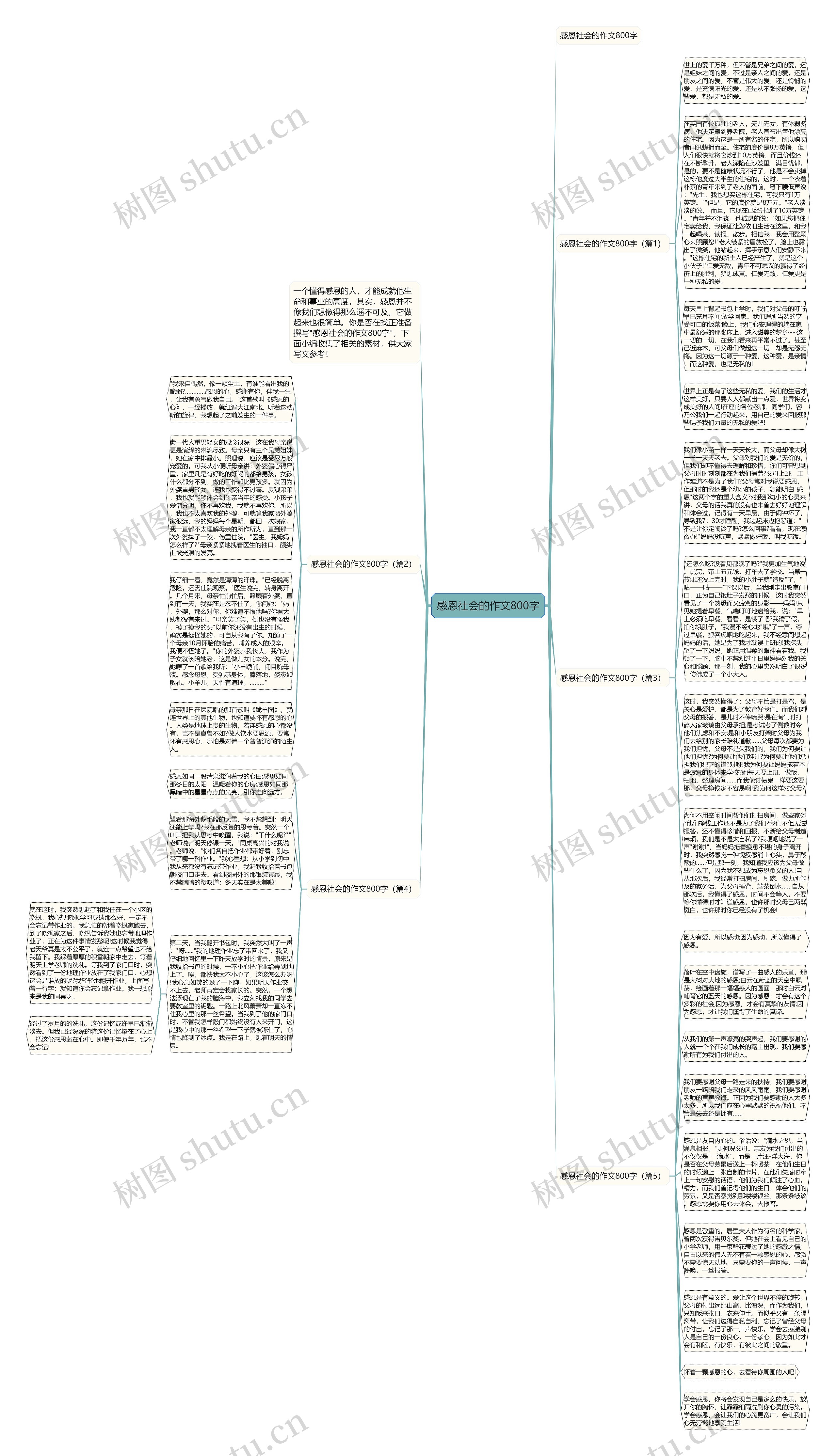 感恩社会的作文800字思维导图