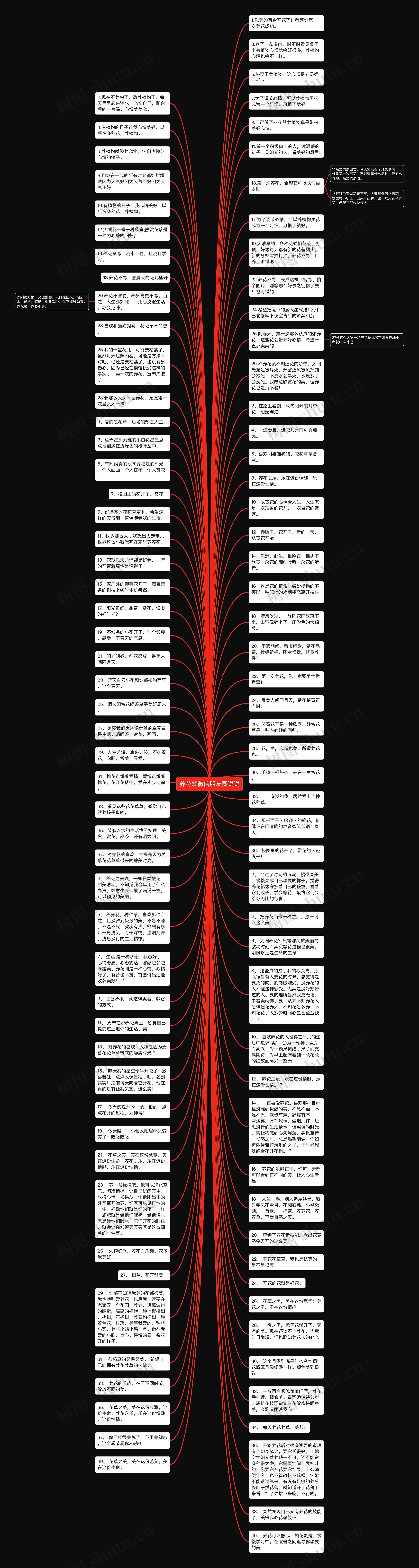 养花发微信朋友圈说说思维导图