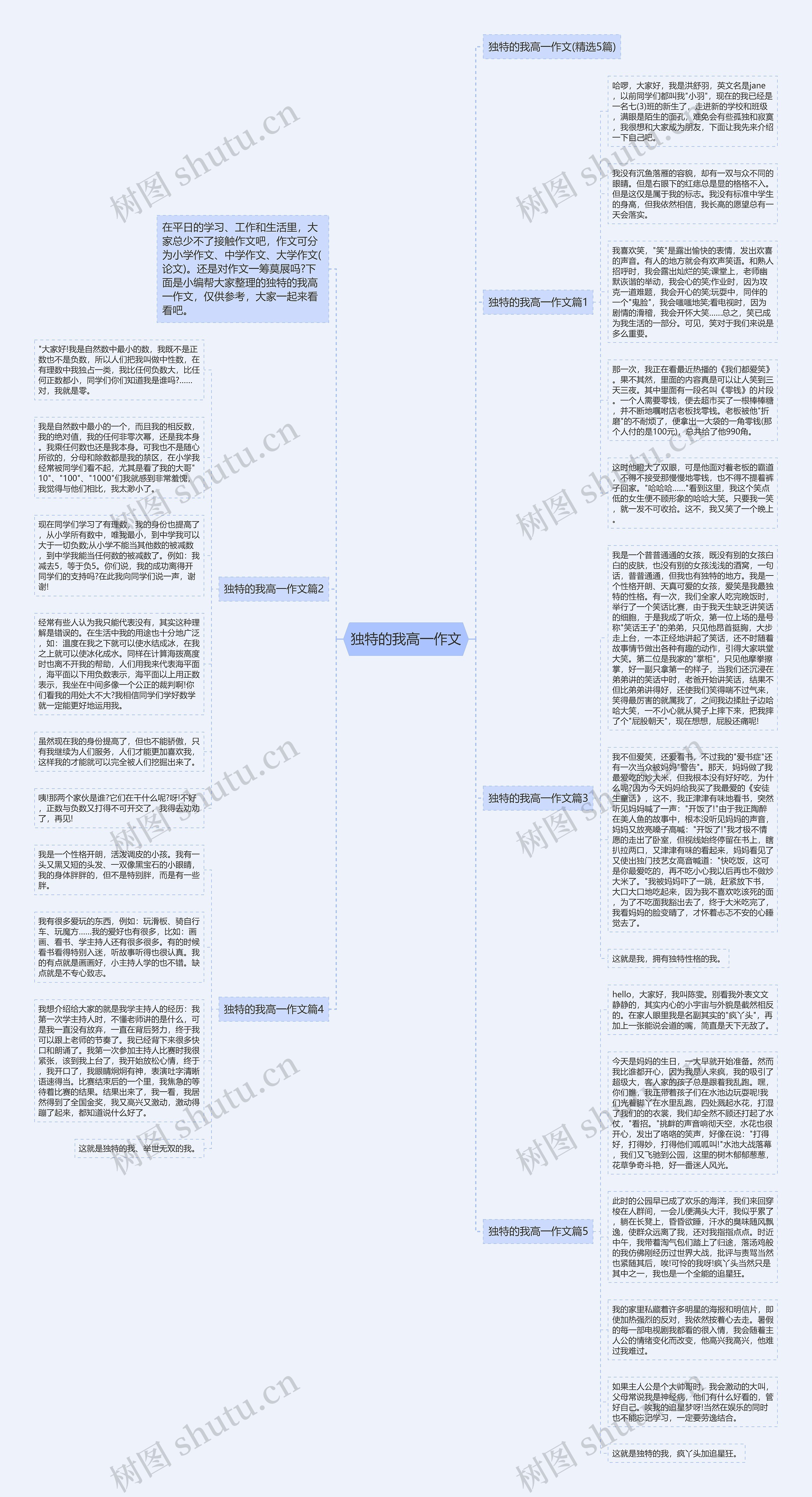 独特的我高一作文思维导图