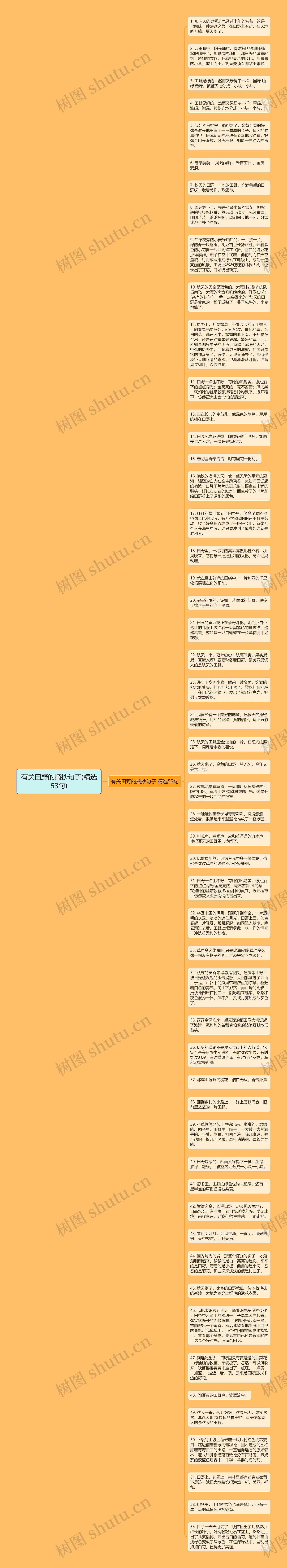有关田野的摘抄句子(精选53句)思维导图