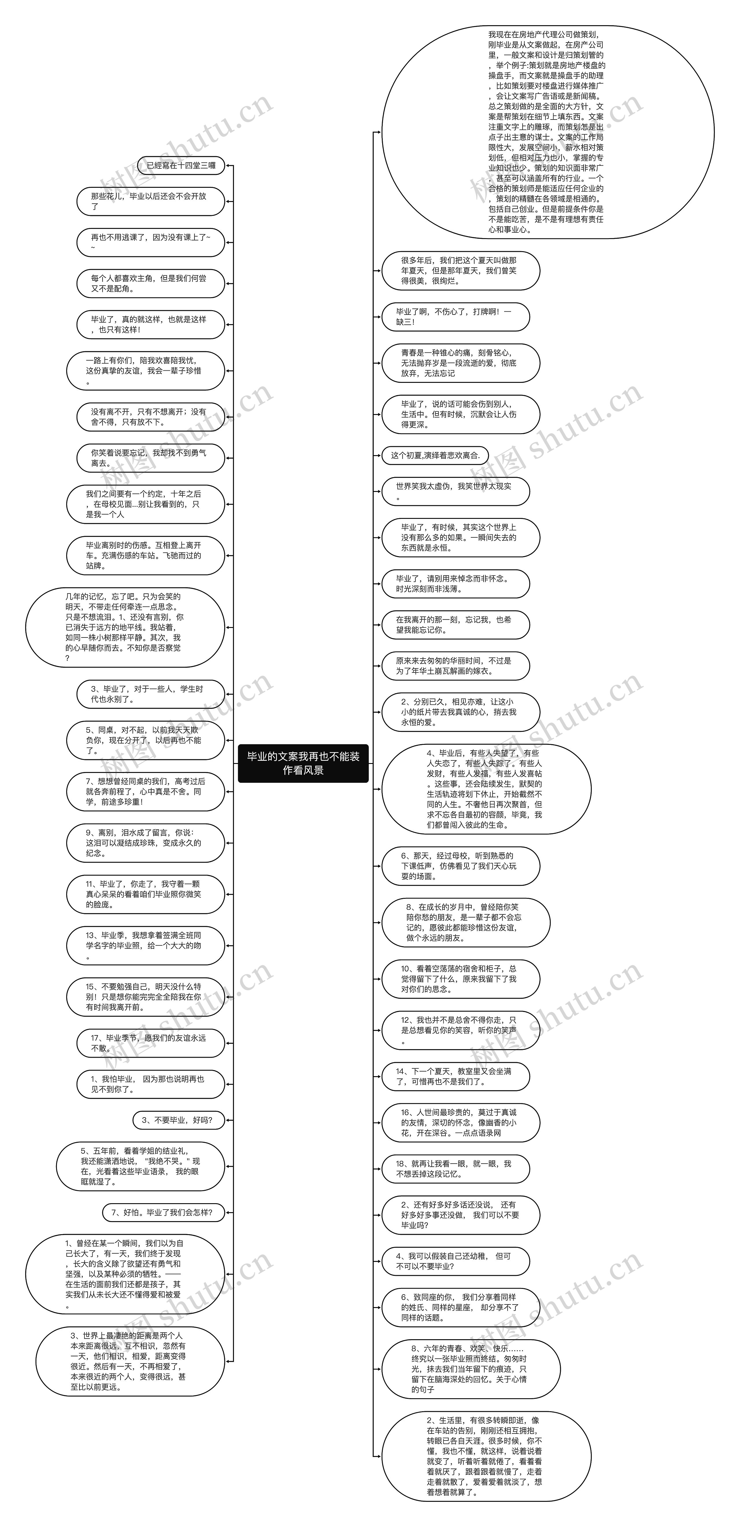 毕业的文案我再也不能装作看风景思维导图
