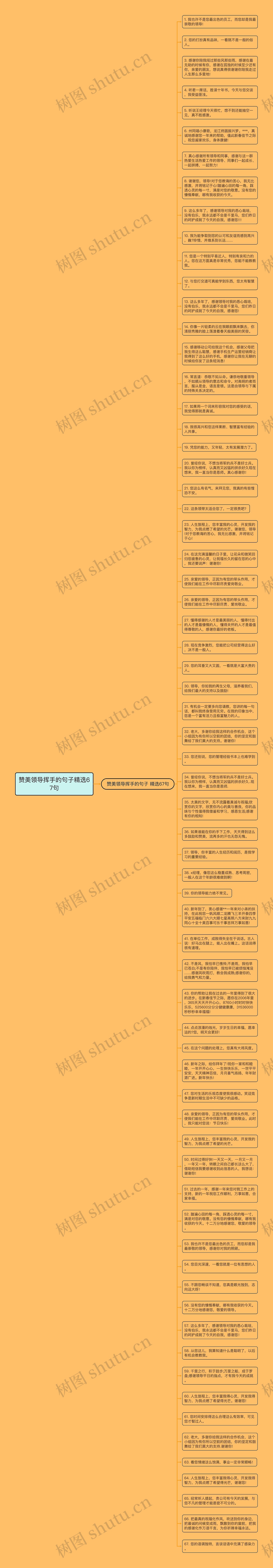 赞美领导挥手的句子精选67句