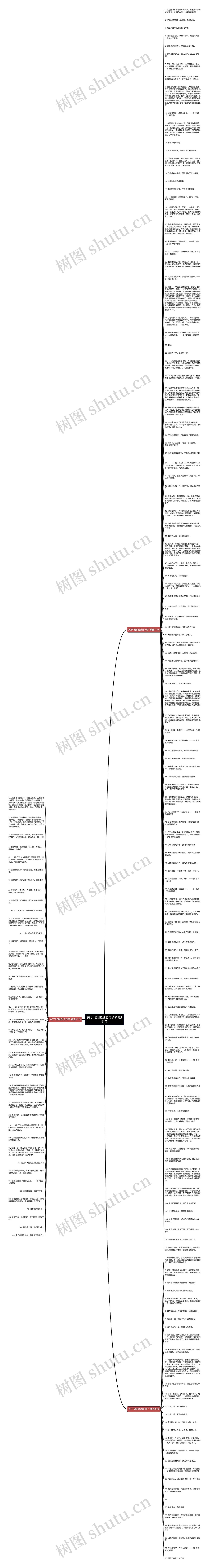 关于飞翔的励志句子精选181句思维导图