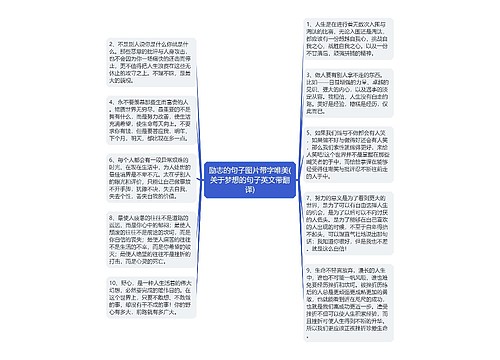 励志的句子图片带字唯美(关于梦想的句子英文带翻译)