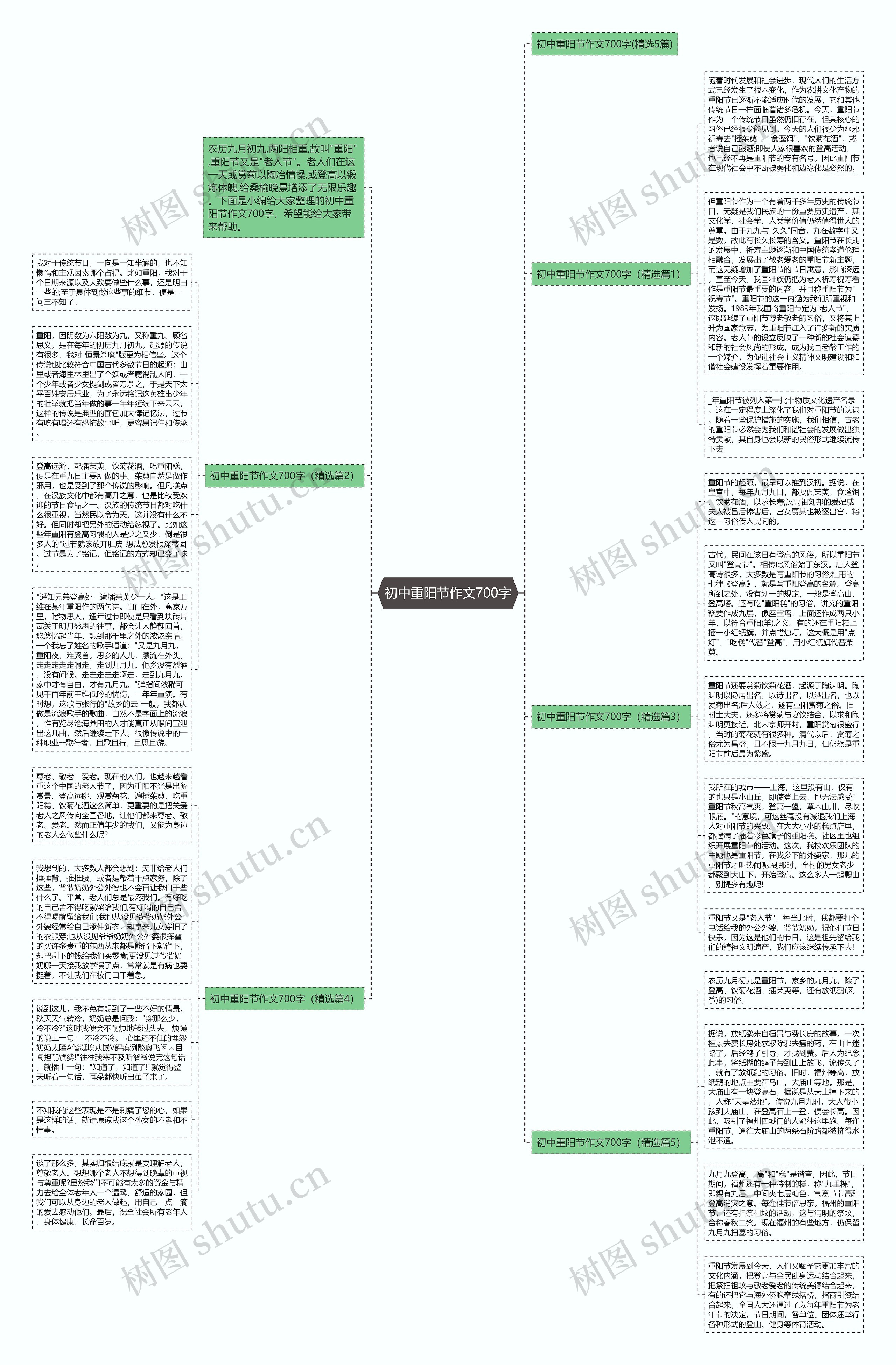 初中重阳节作文700字思维导图