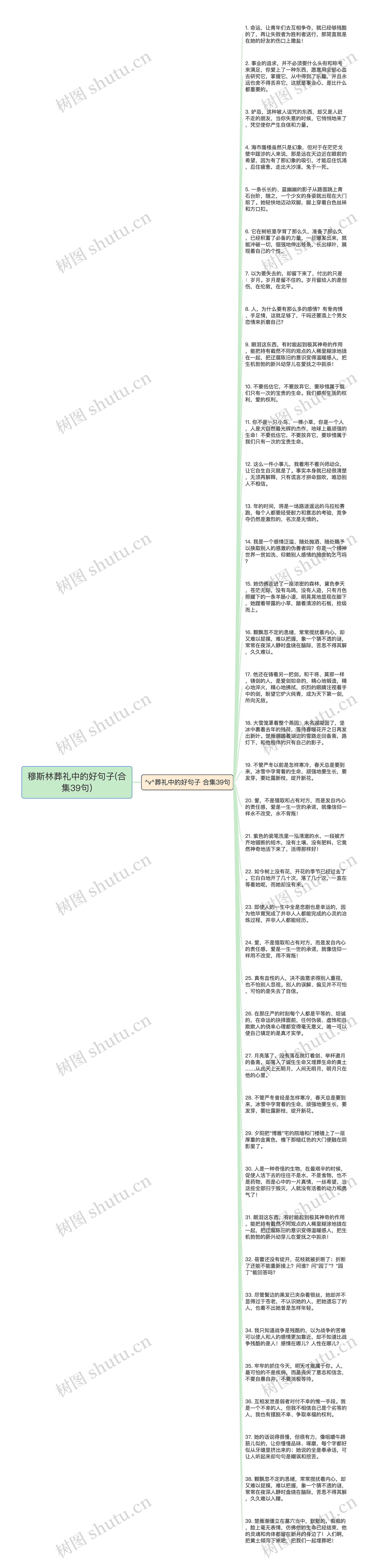 穆斯林葬礼中的好句子(合集39句)思维导图