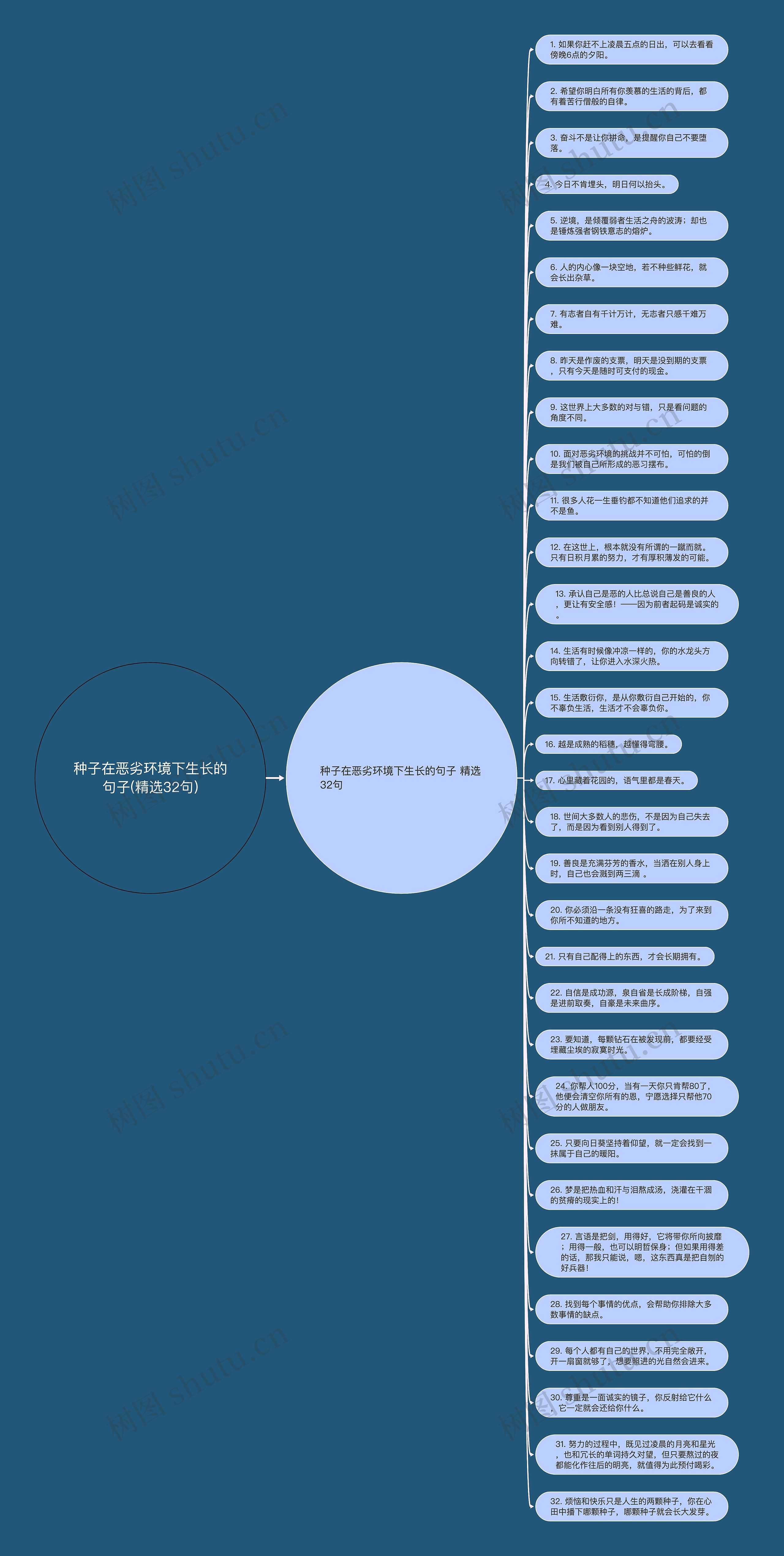 种子在恶劣环境下生长的句子(精选32句)思维导图