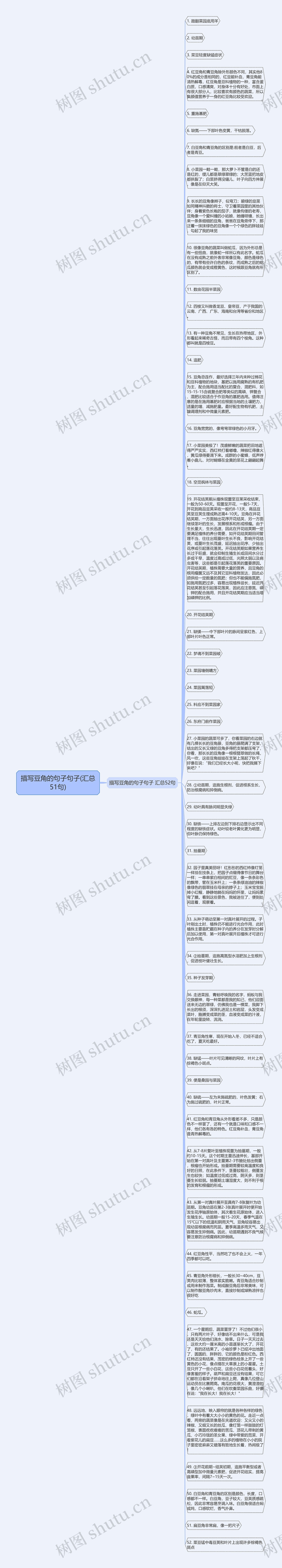 描写豆角的句子句子(汇总51句)思维导图