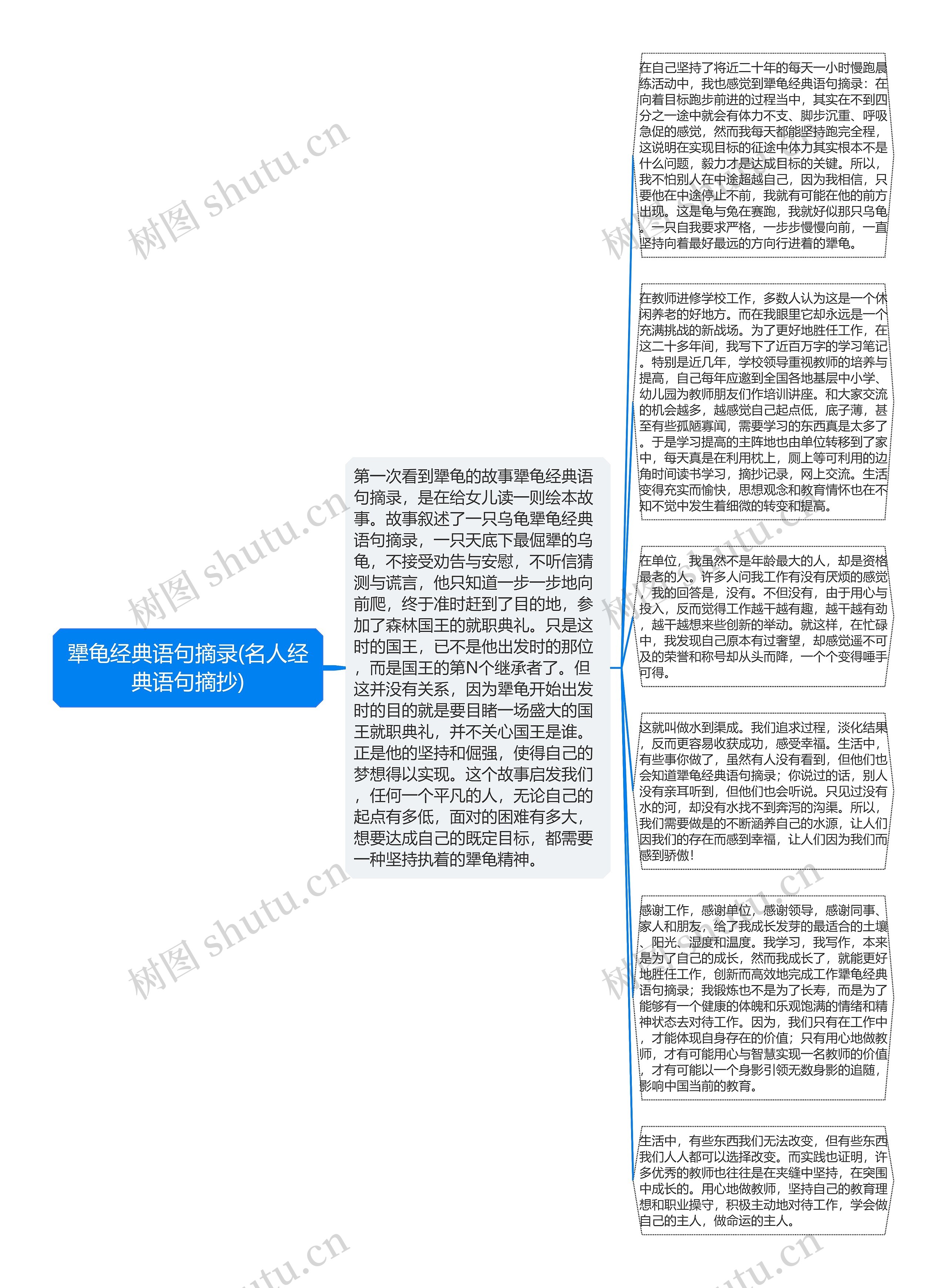 犟龟经典语句摘录(名人经典语句摘抄)思维导图