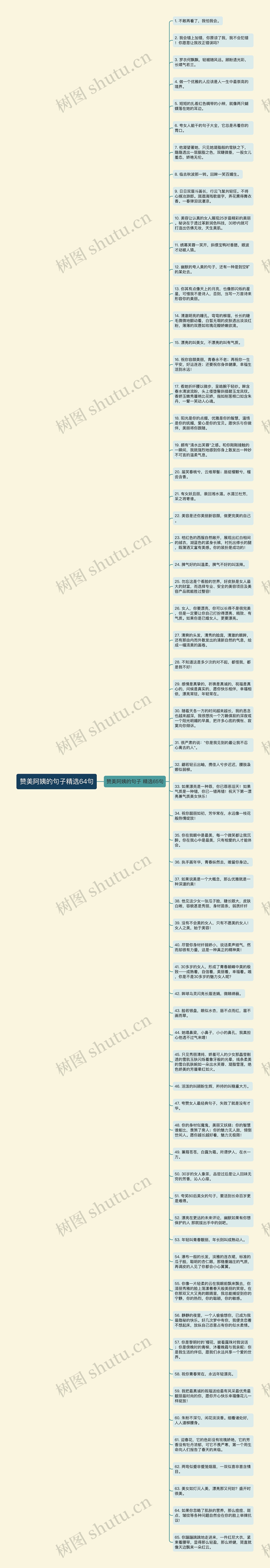 赞美阿姨的句子精选64句思维导图