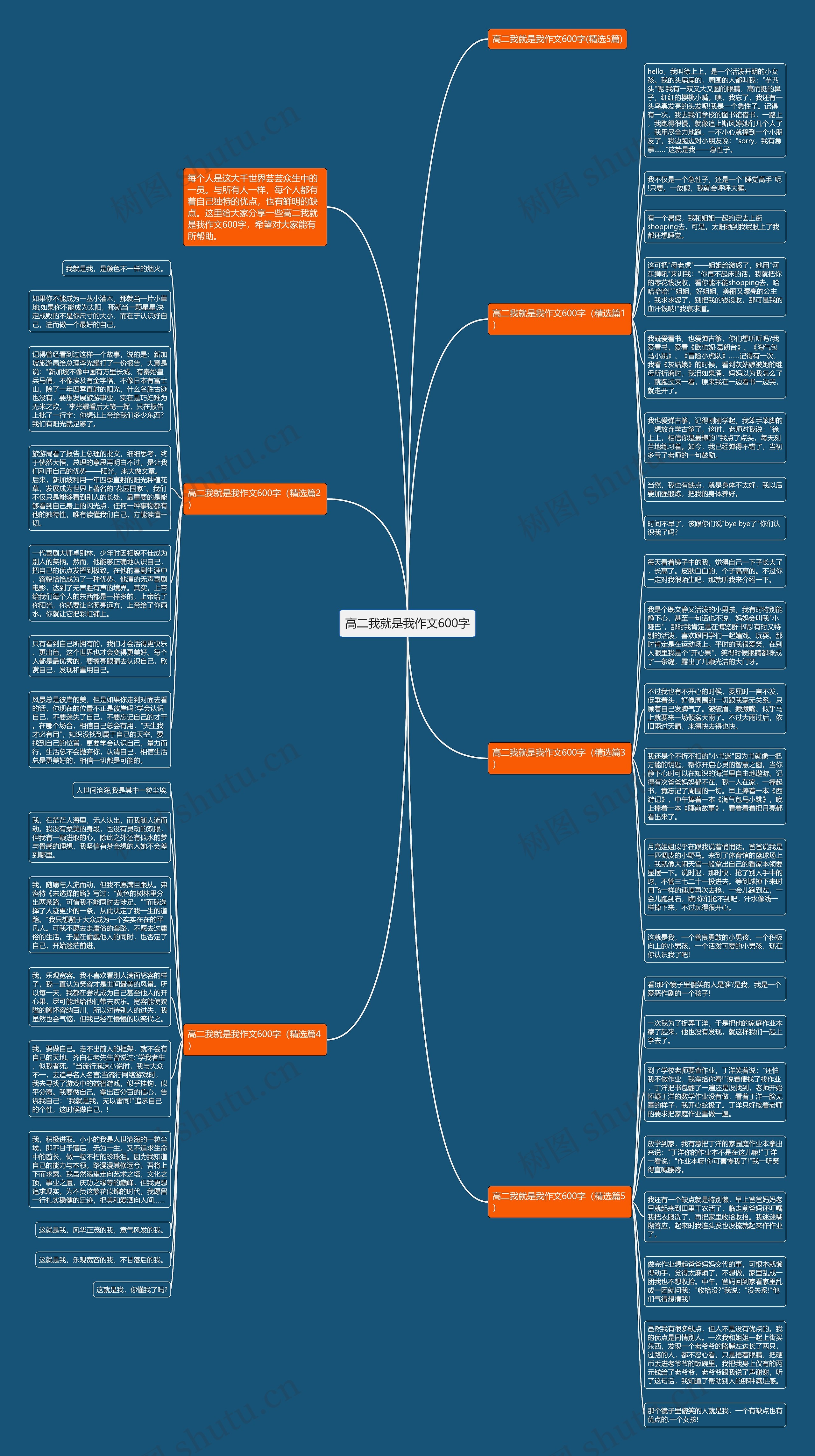 高二我就是我作文600字思维导图