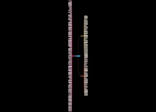 孔子有关平等的句子精选213句