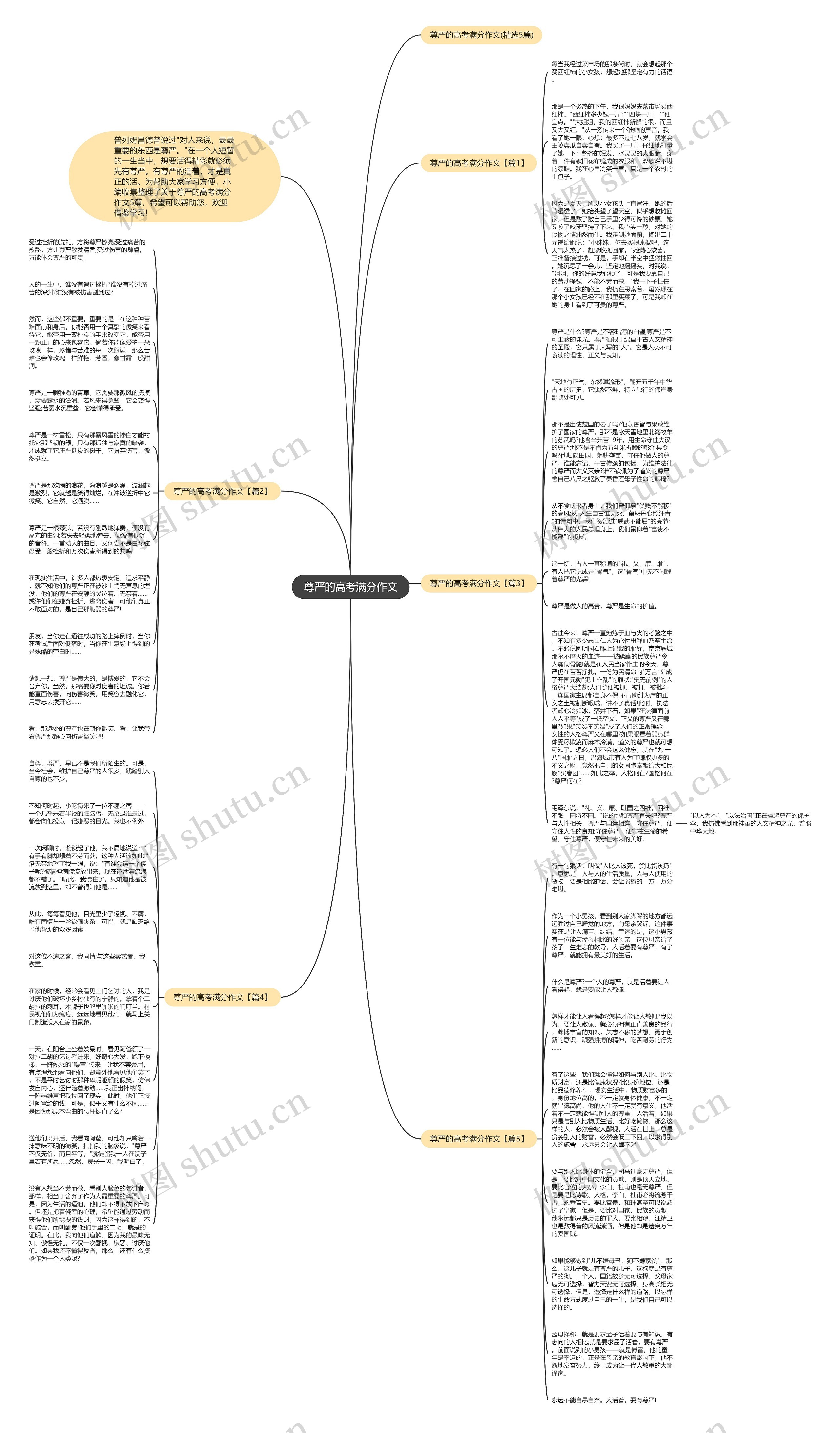 尊严的高考满分作文思维导图