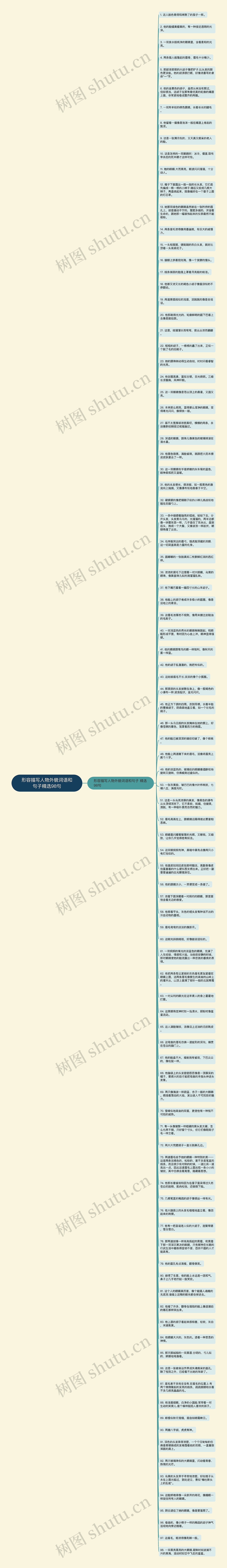 形容描写人物外貌词语和句子精选98句思维导图