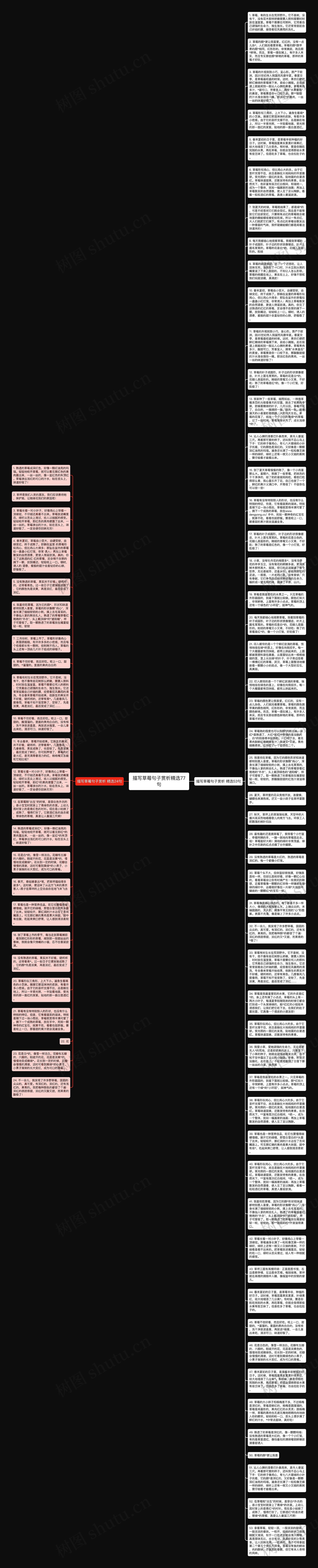 描写草莓句子赏析精选77句思维导图