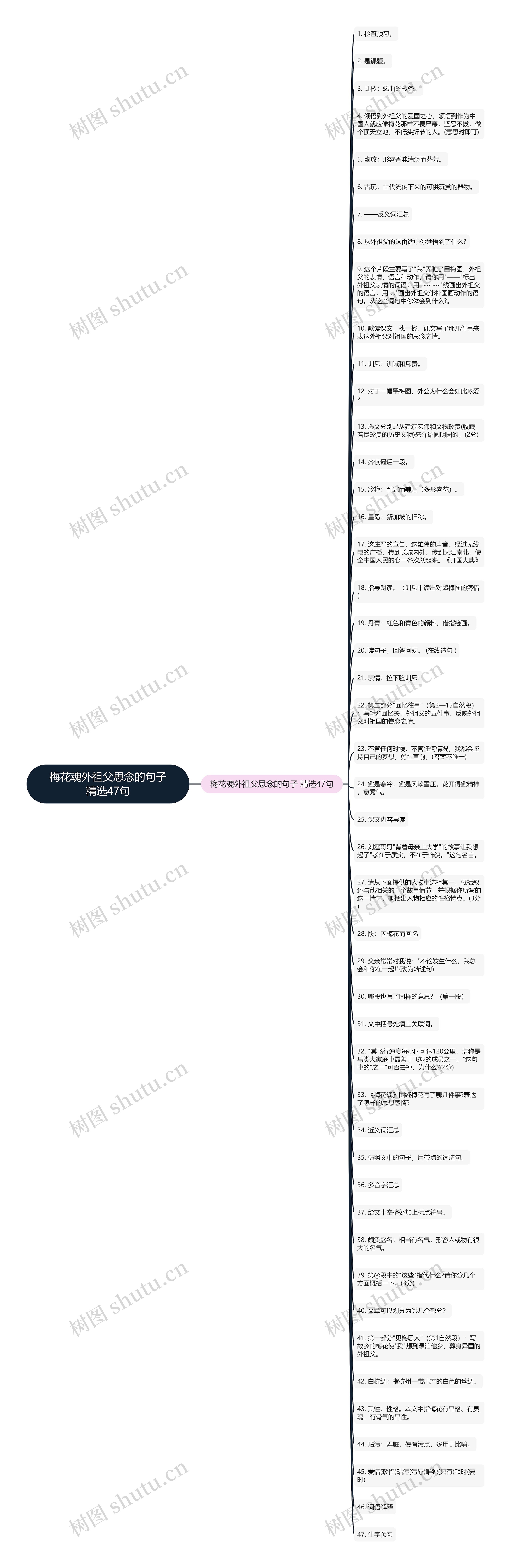 梅花魂外祖父思念的句子精选47句思维导图