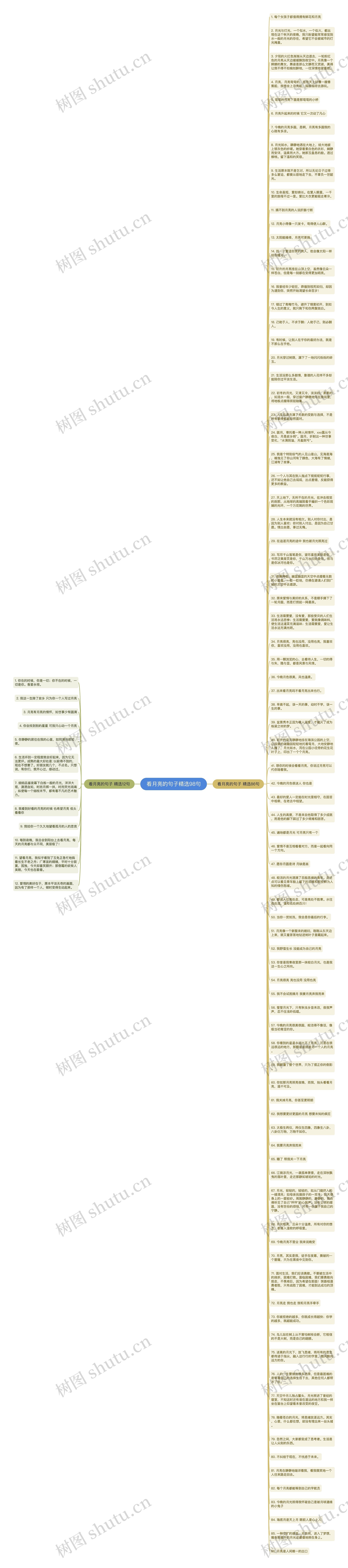 看月亮的句子精选98句思维导图