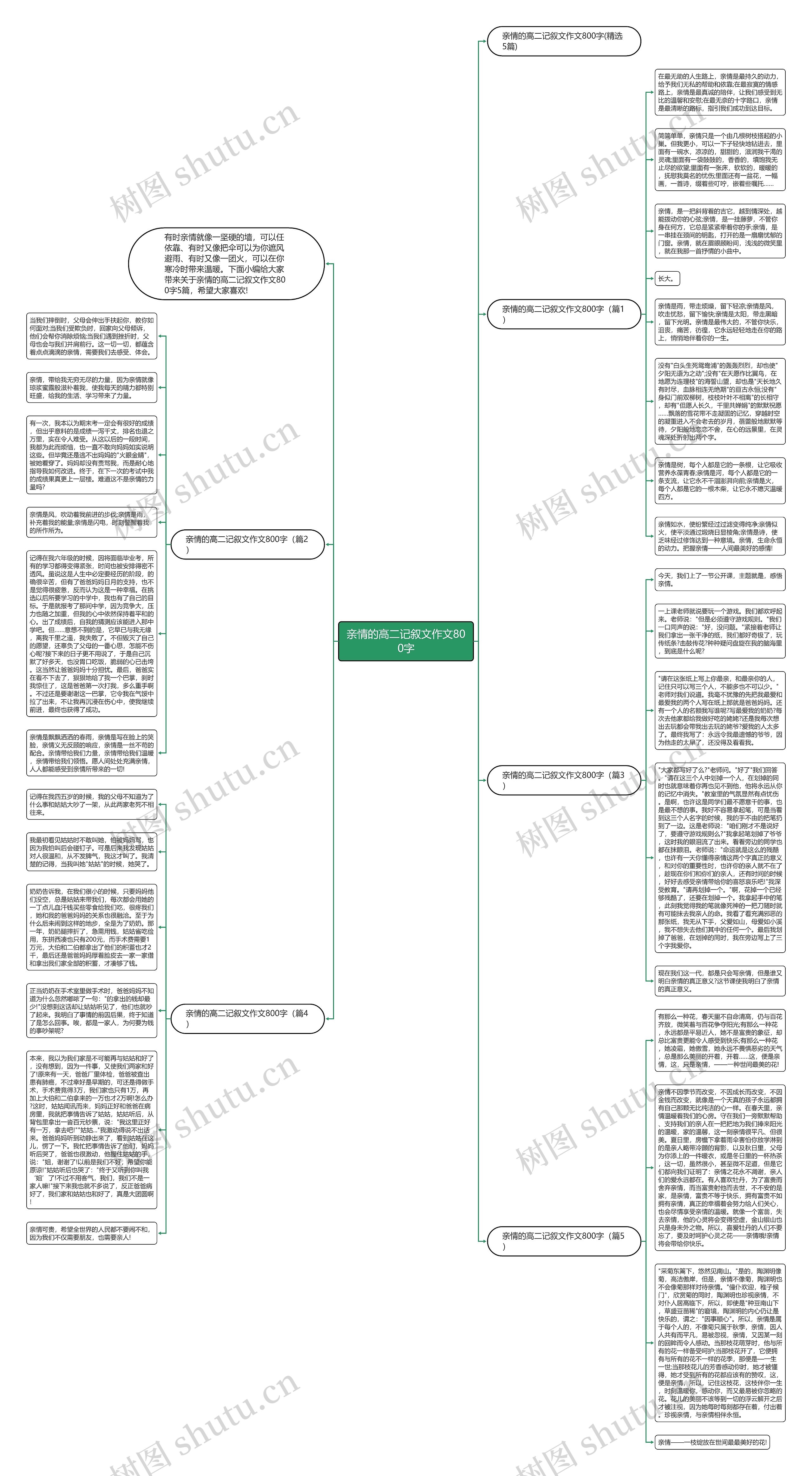 亲情的高二记叙文作文800字思维导图