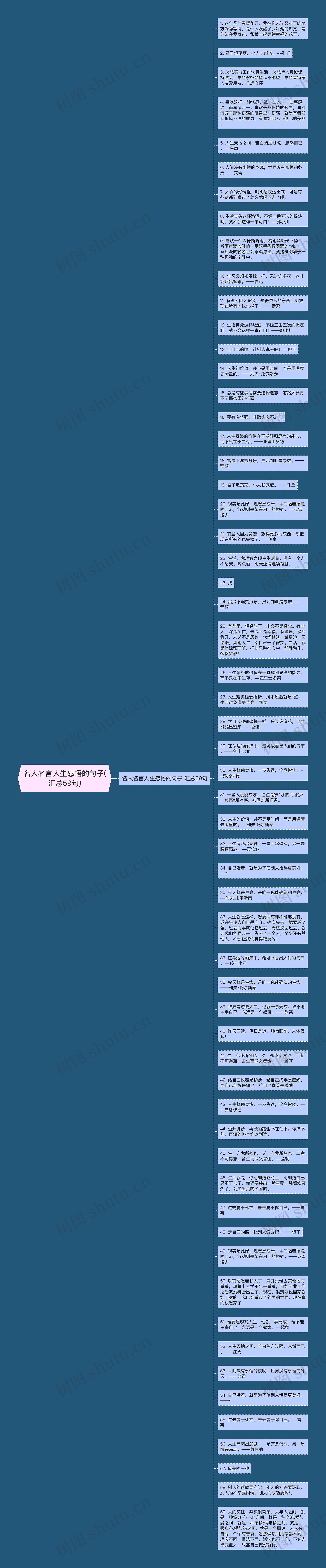 名人名言人生感悟的句子(汇总59句)思维导图