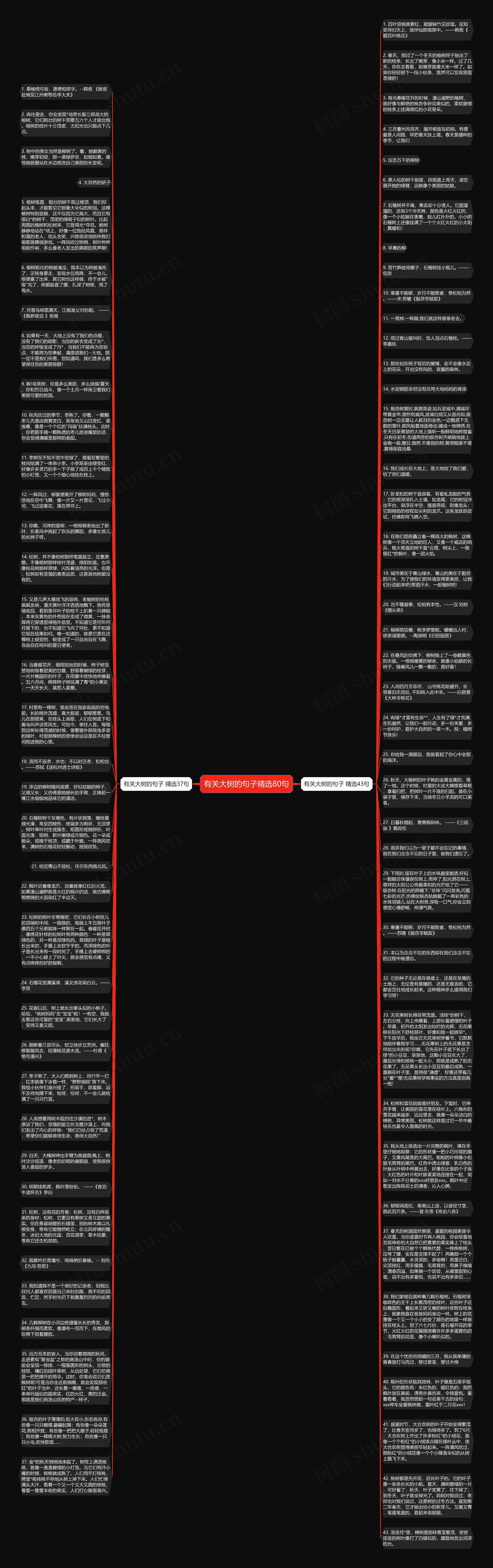 有关大树的句子精选80句思维导图