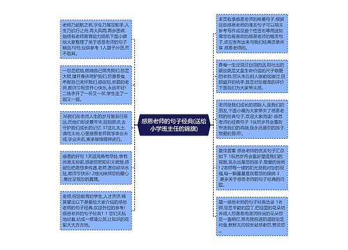 感恩老师的句子经典(送给小学班主任的锦旗)