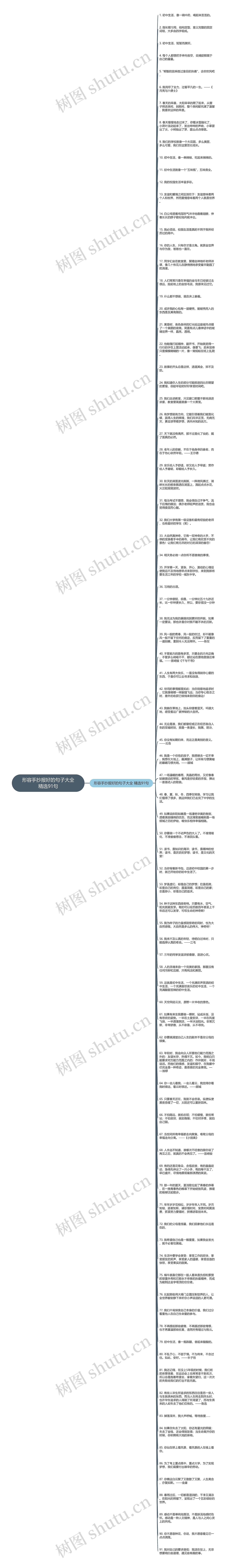 形容手抄报好的句子大全精选91句思维导图