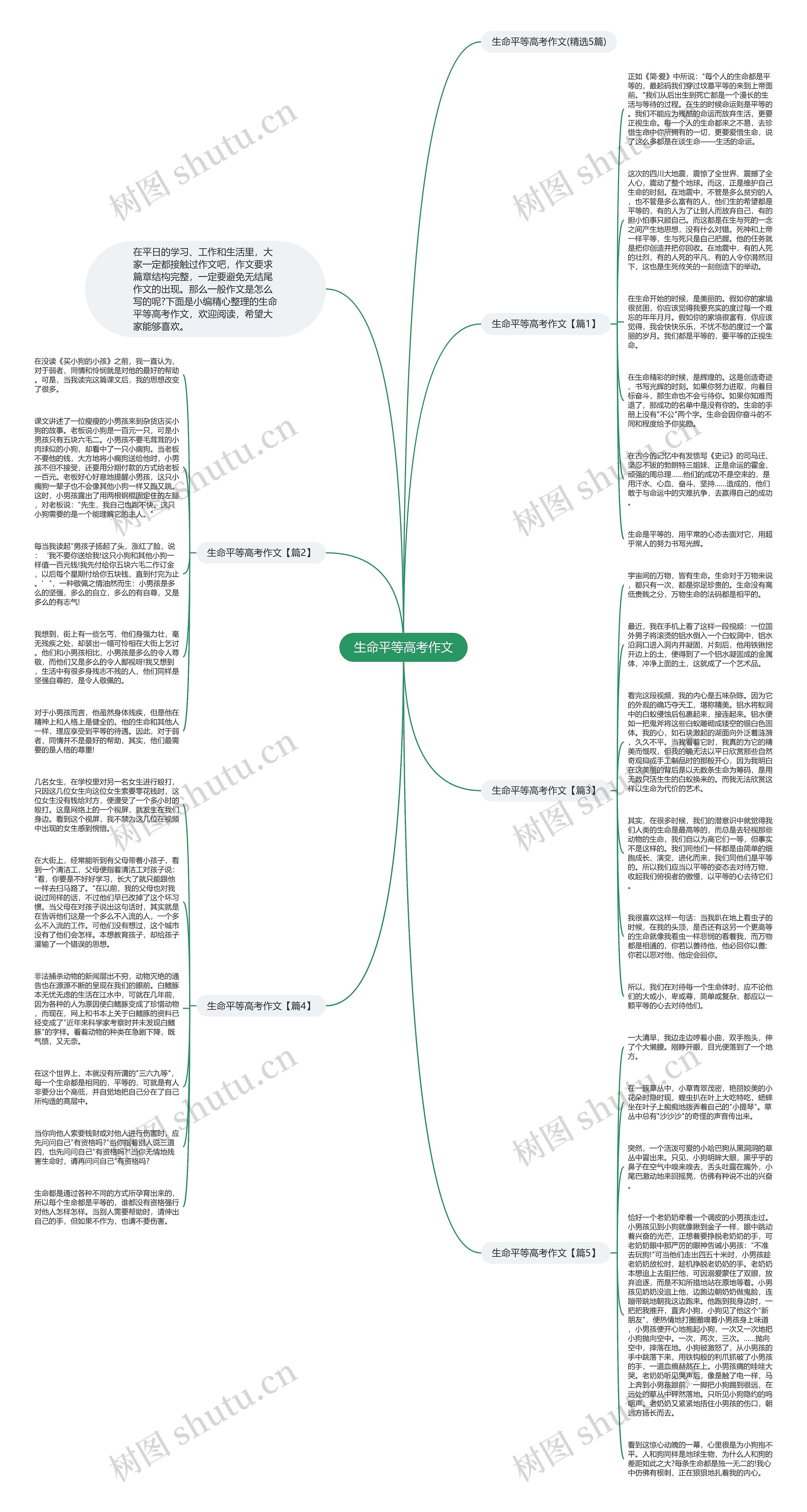 生命平等高考作文思维导图