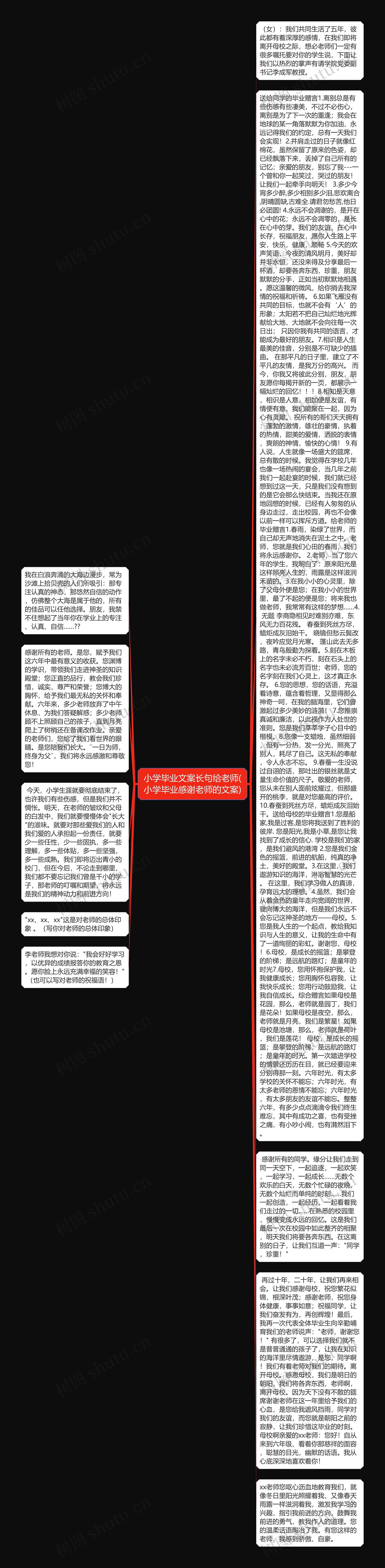 小学毕业文案长句给老师(小学毕业感谢老师的文案)