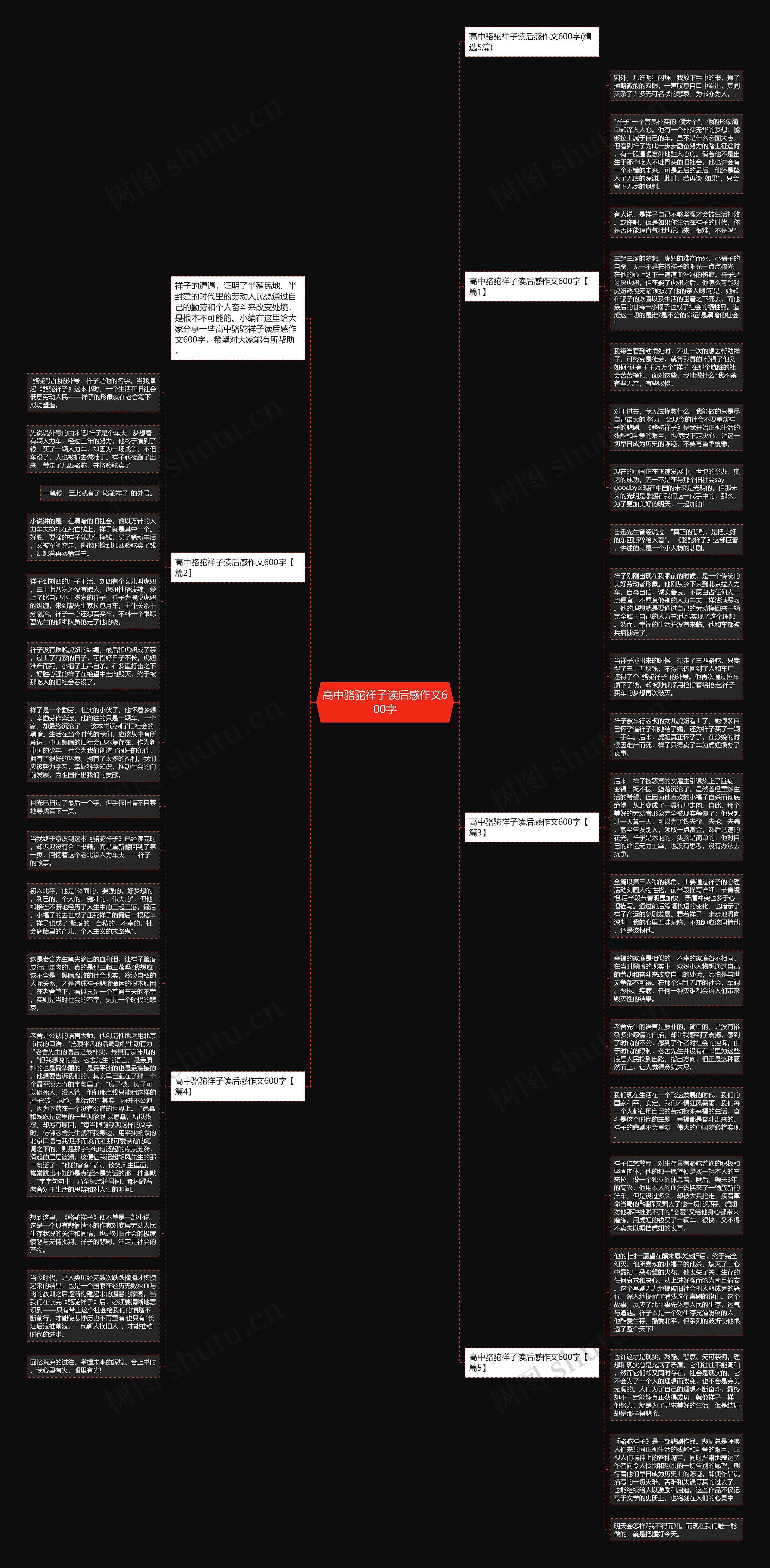 高中骆驼祥子读后感作文600字思维导图