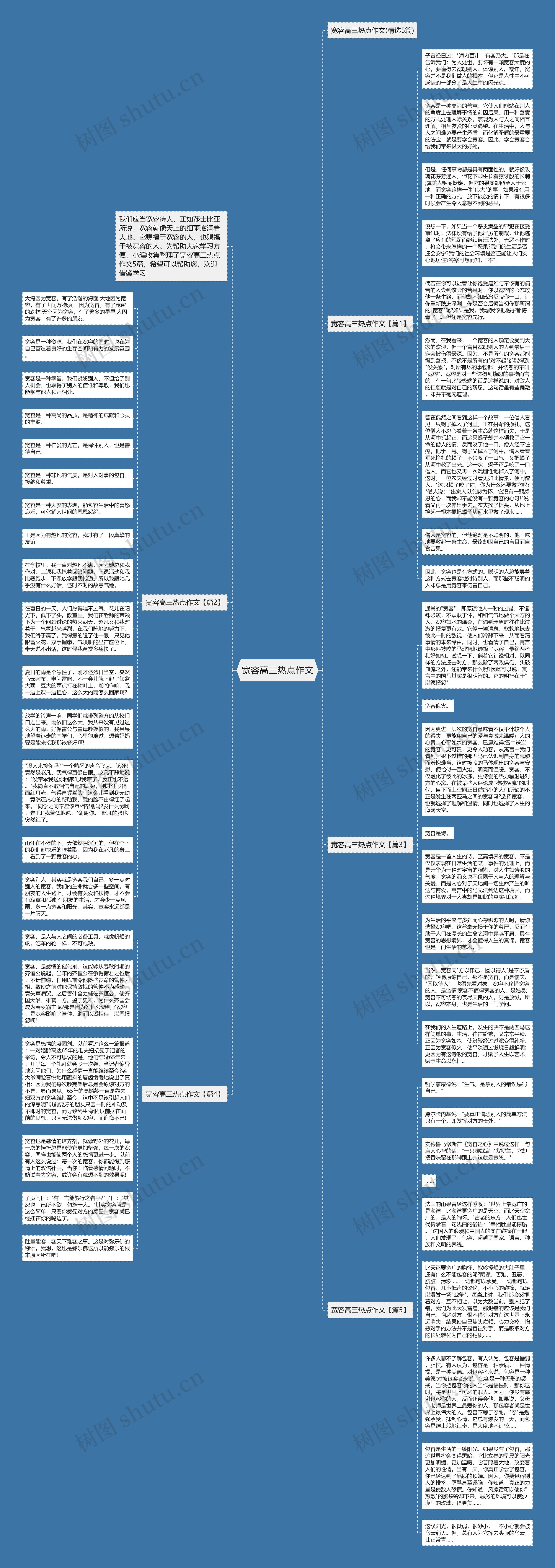 宽容高三热点作文思维导图
