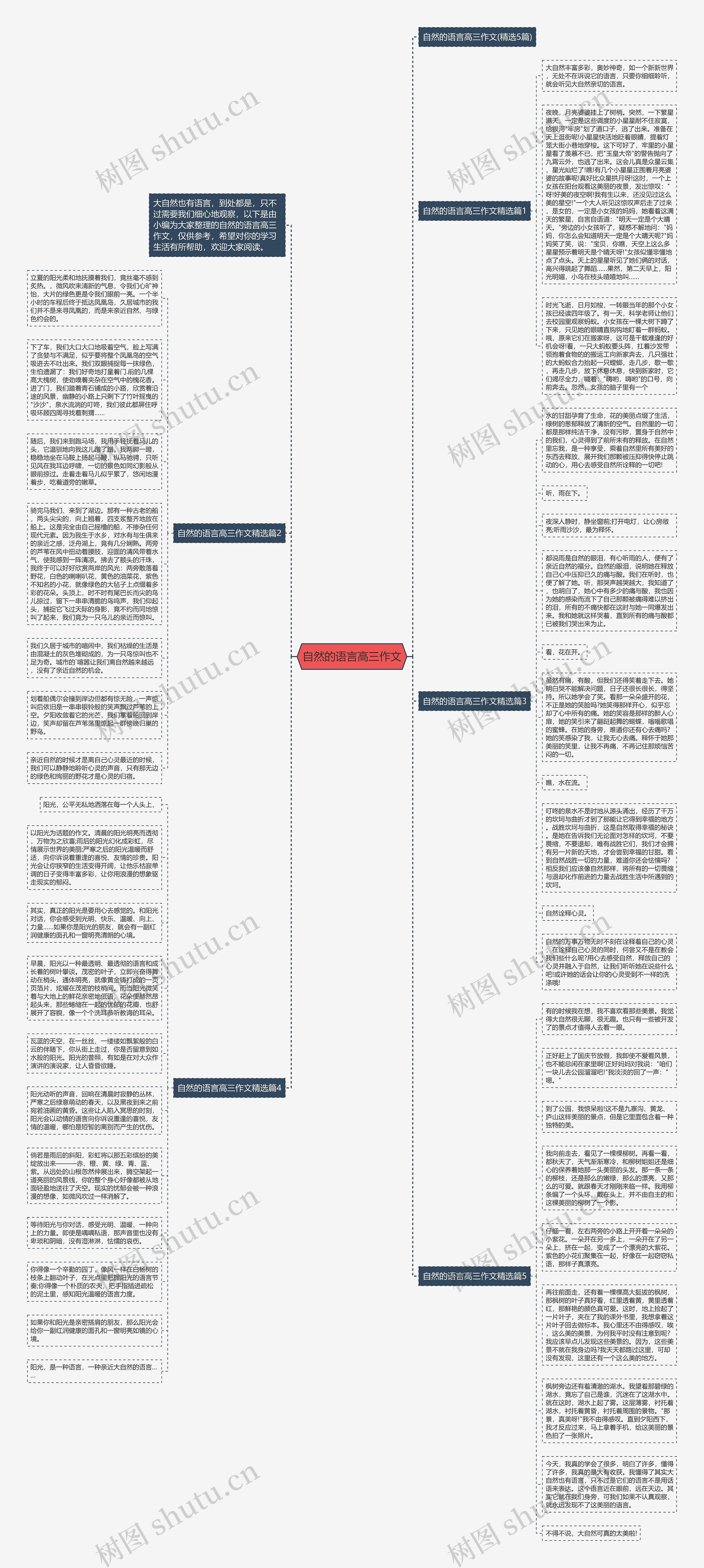 自然的语言高三作文思维导图