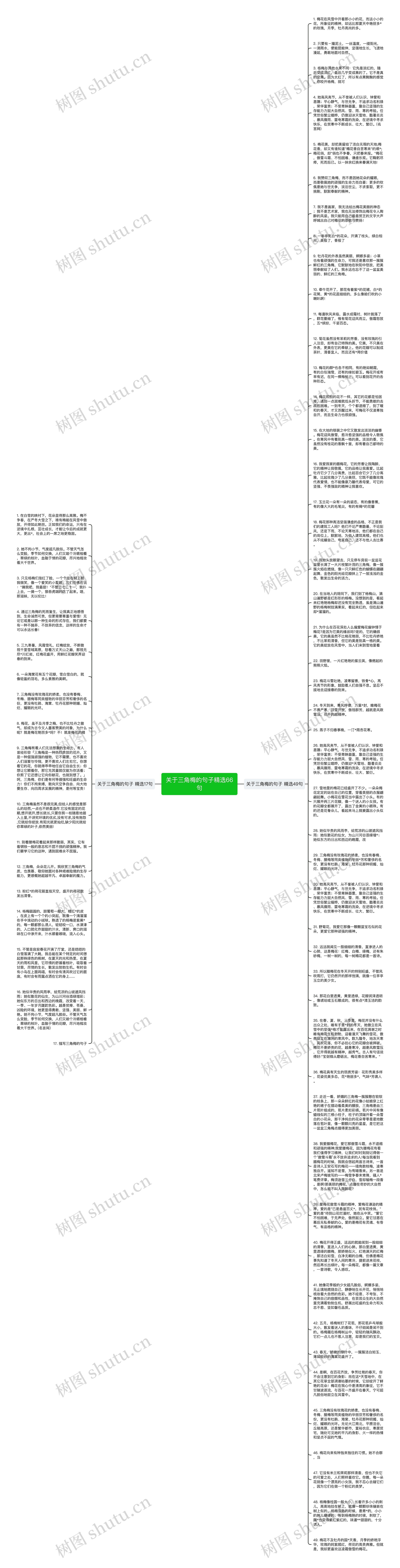 关于三角梅的句子精选66句思维导图