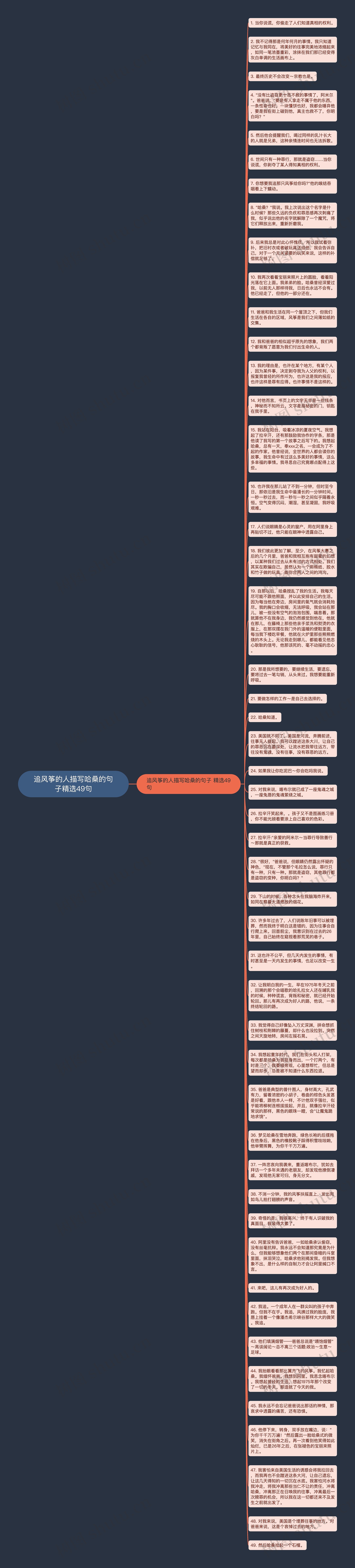 追风筝的人描写哈桑的句子精选49句思维导图