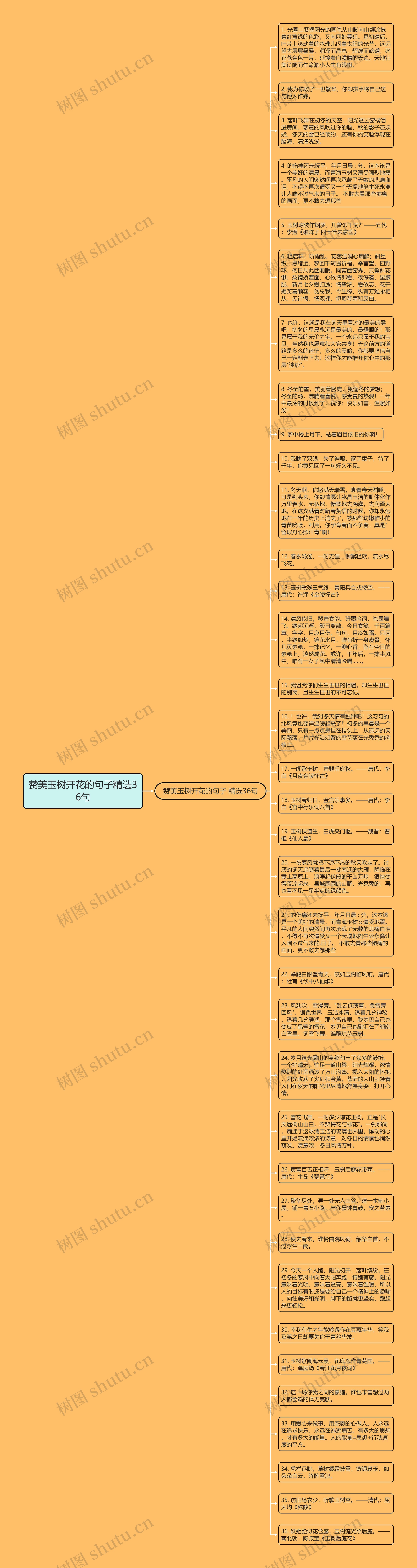 赞美玉树开花的句子精选36句