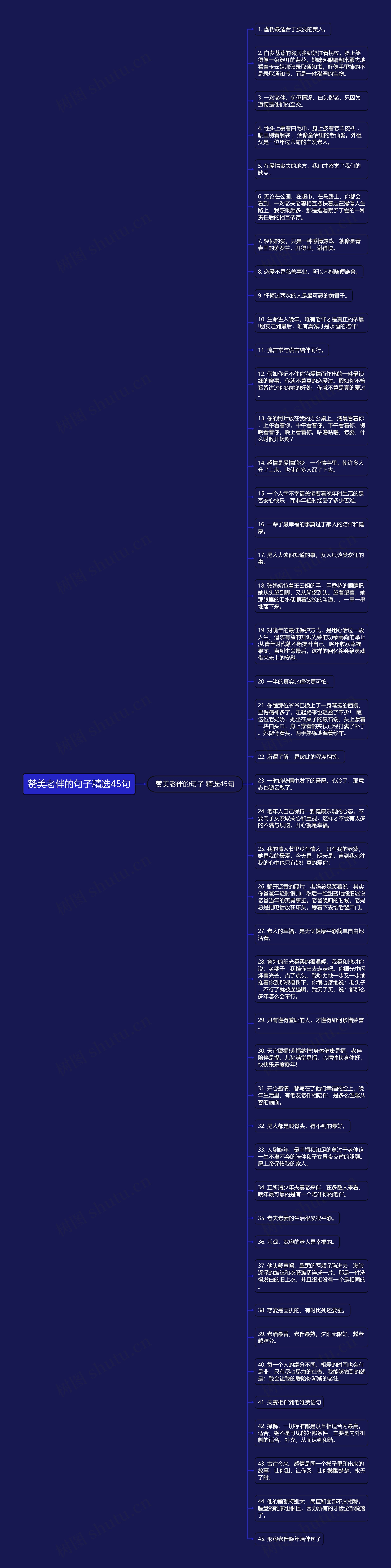 赞美老伴的句子精选45句思维导图